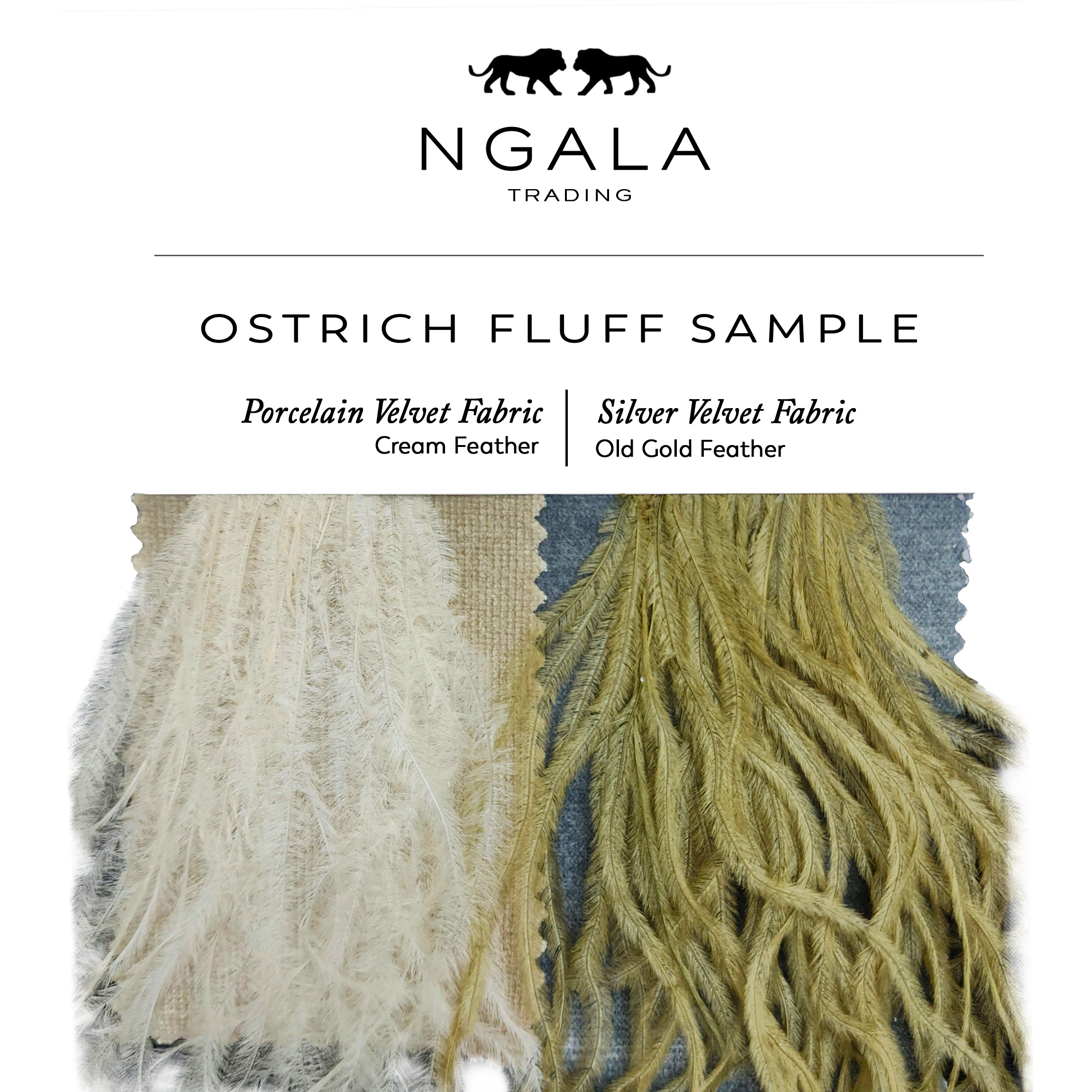 A sample of ostrich fluff with two fabrics, one labeled as Porcelain Velvet Fabric in cream color and the other as Silver Velvet Fabric in old gold color, with the brand Ngala Trading visible.