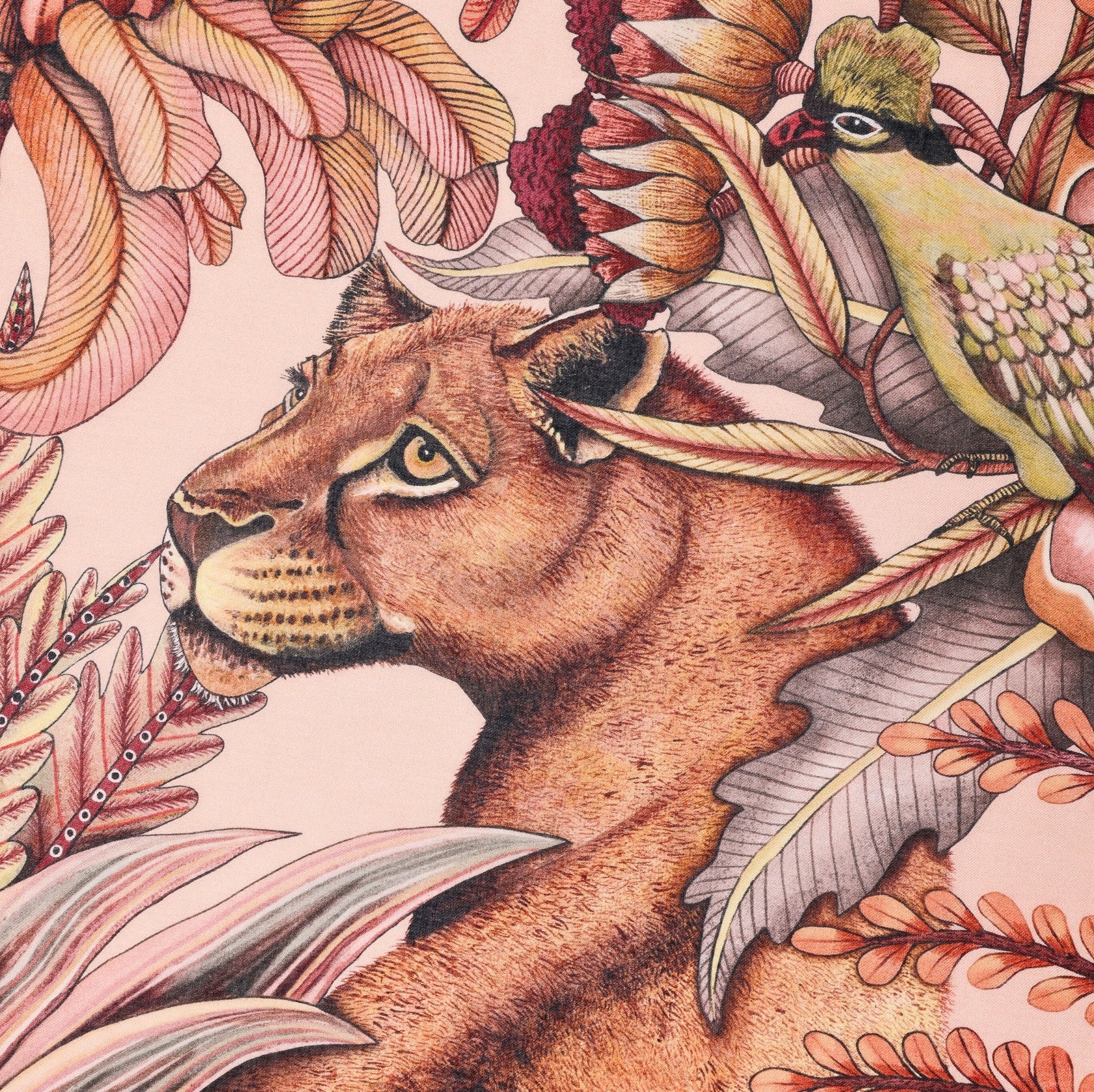 Phinda Pride Safari Wrap - Flamingo