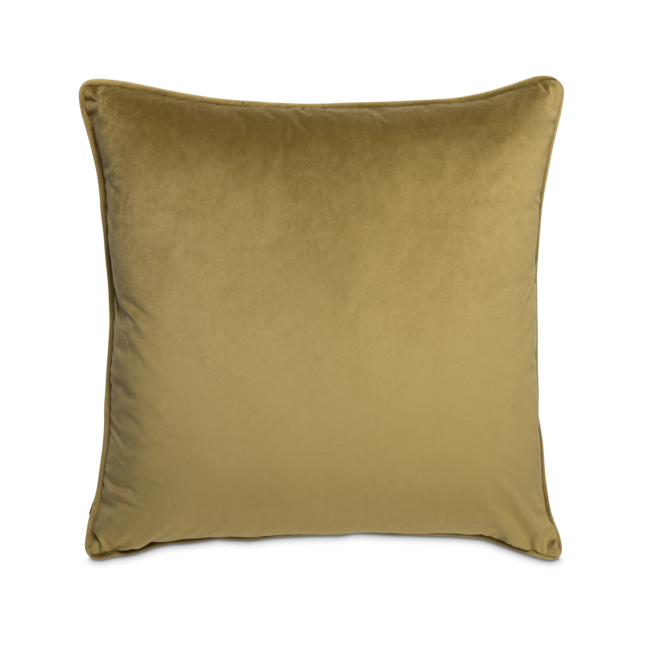 Protea Garden Velvet Pillow - Night