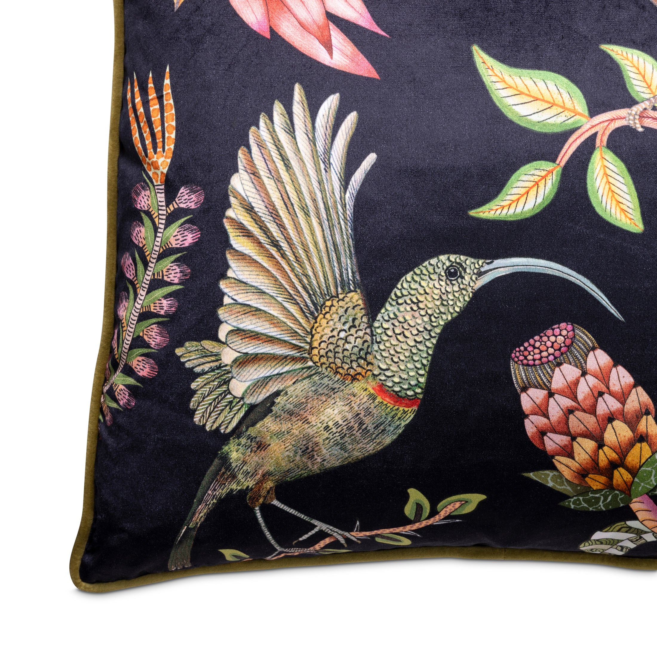 Protea Garden Velvet Pillow - Night