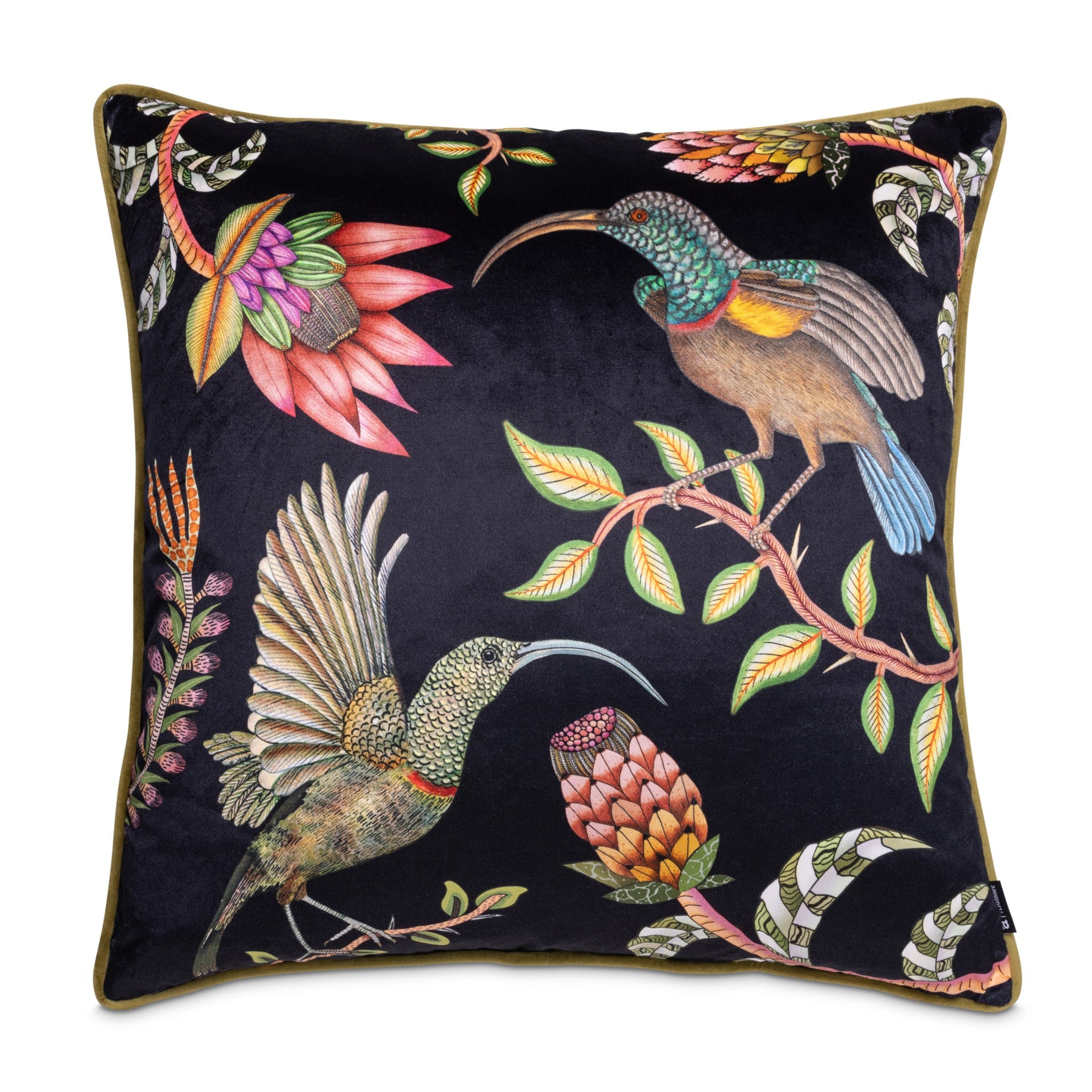 Protea Garden Velvet Pillow - Night
