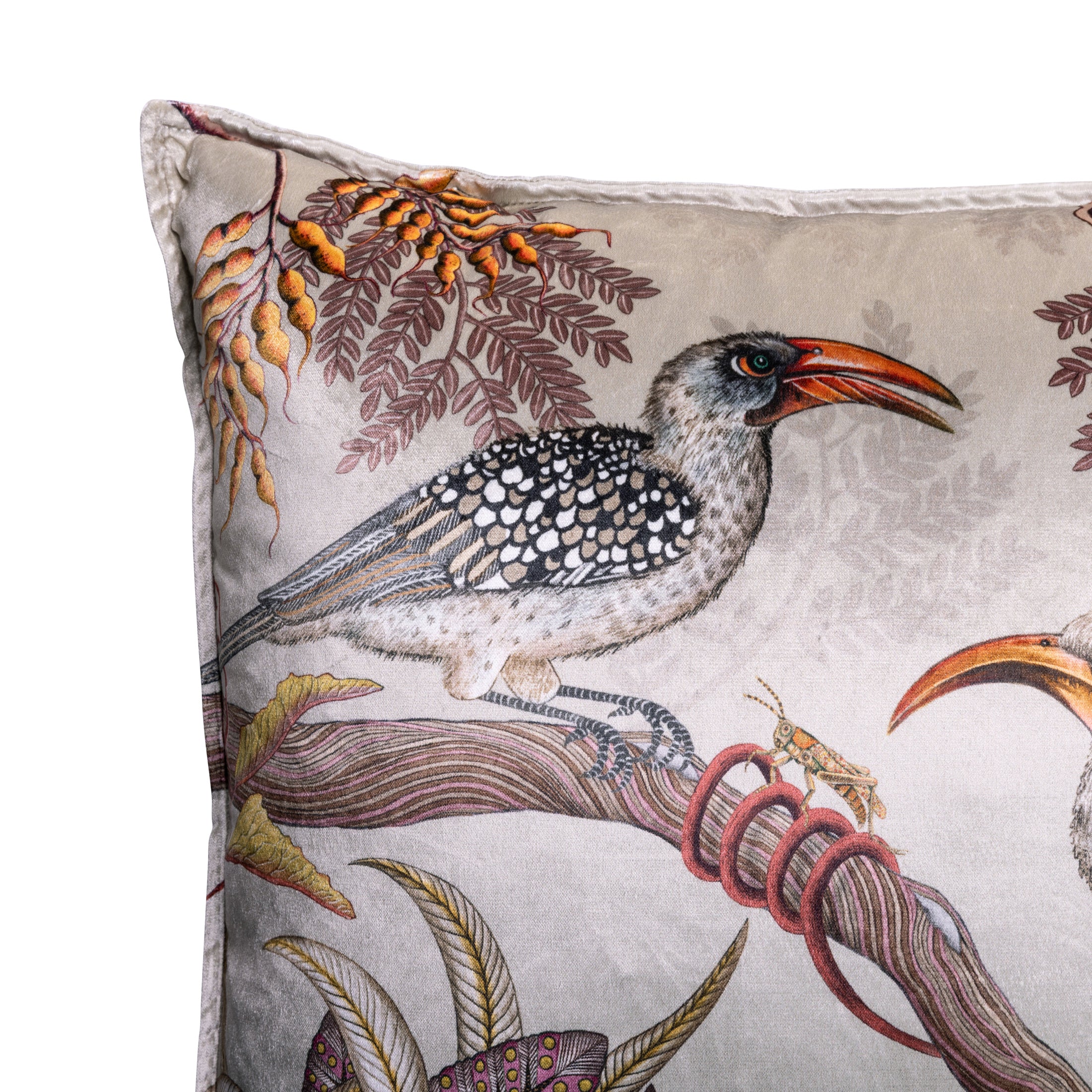 Hornbill Garden Velvet Pillow - Stone