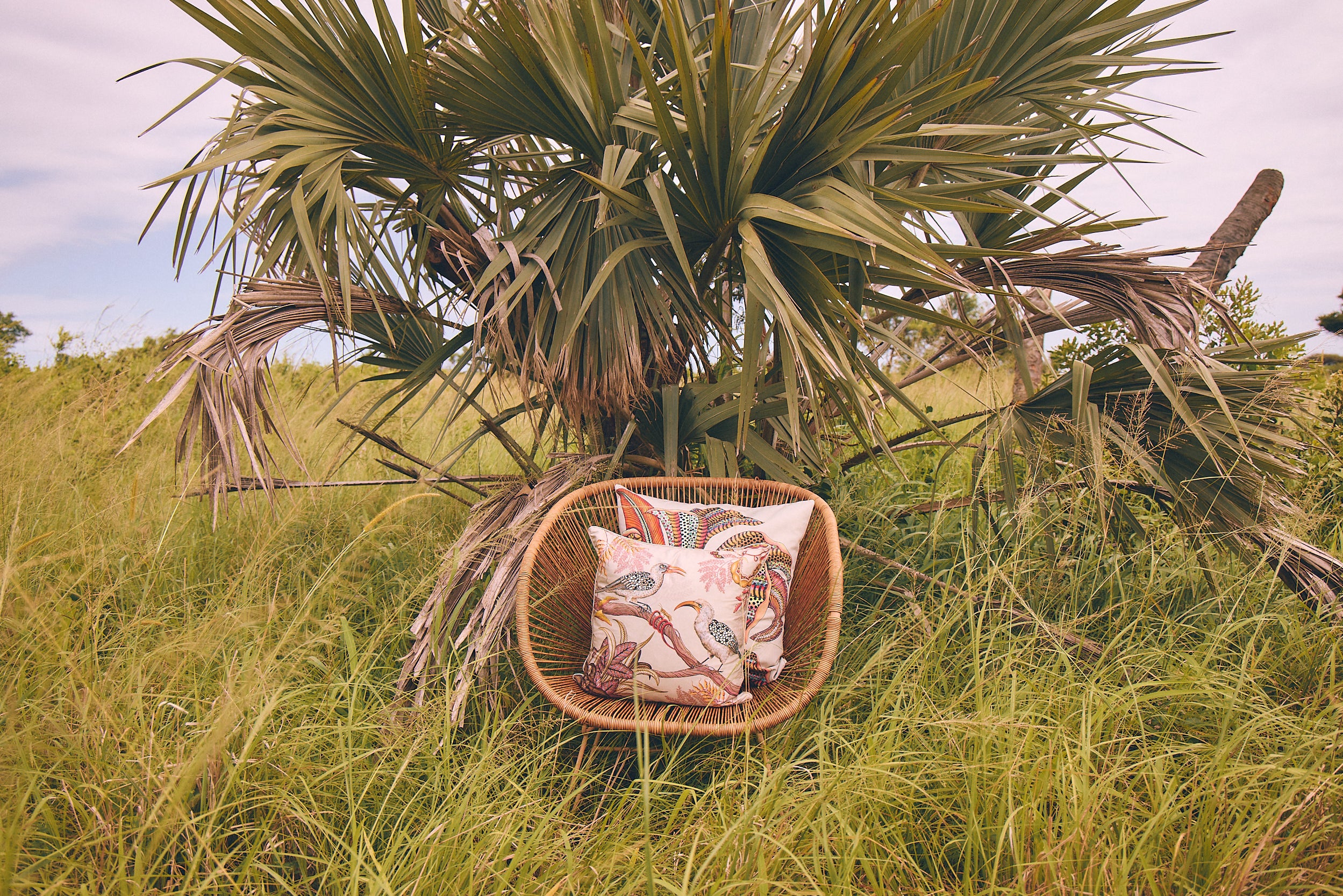 Hornbill Garden Velvet Pillow - Stone