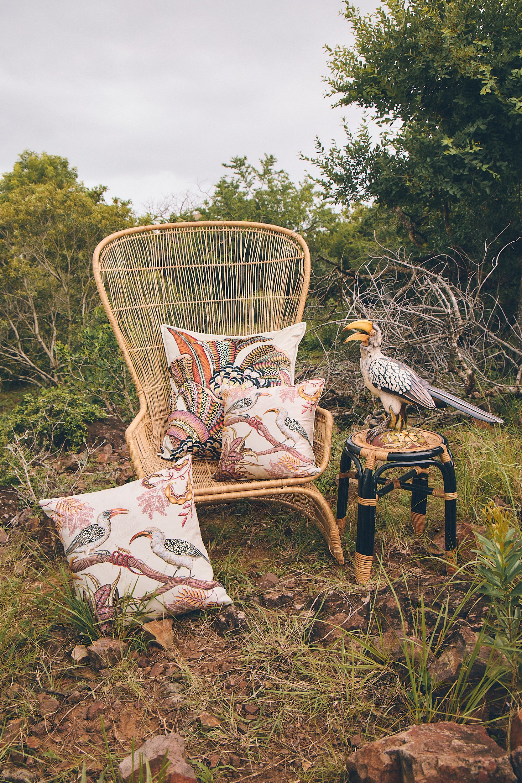Hornbill Garden Velvet Pillow - Stone