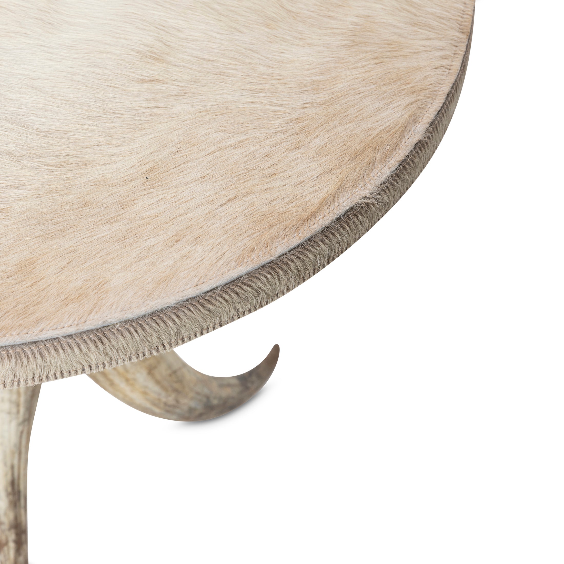 Cow Horn Table with Cream Cow Hide Top