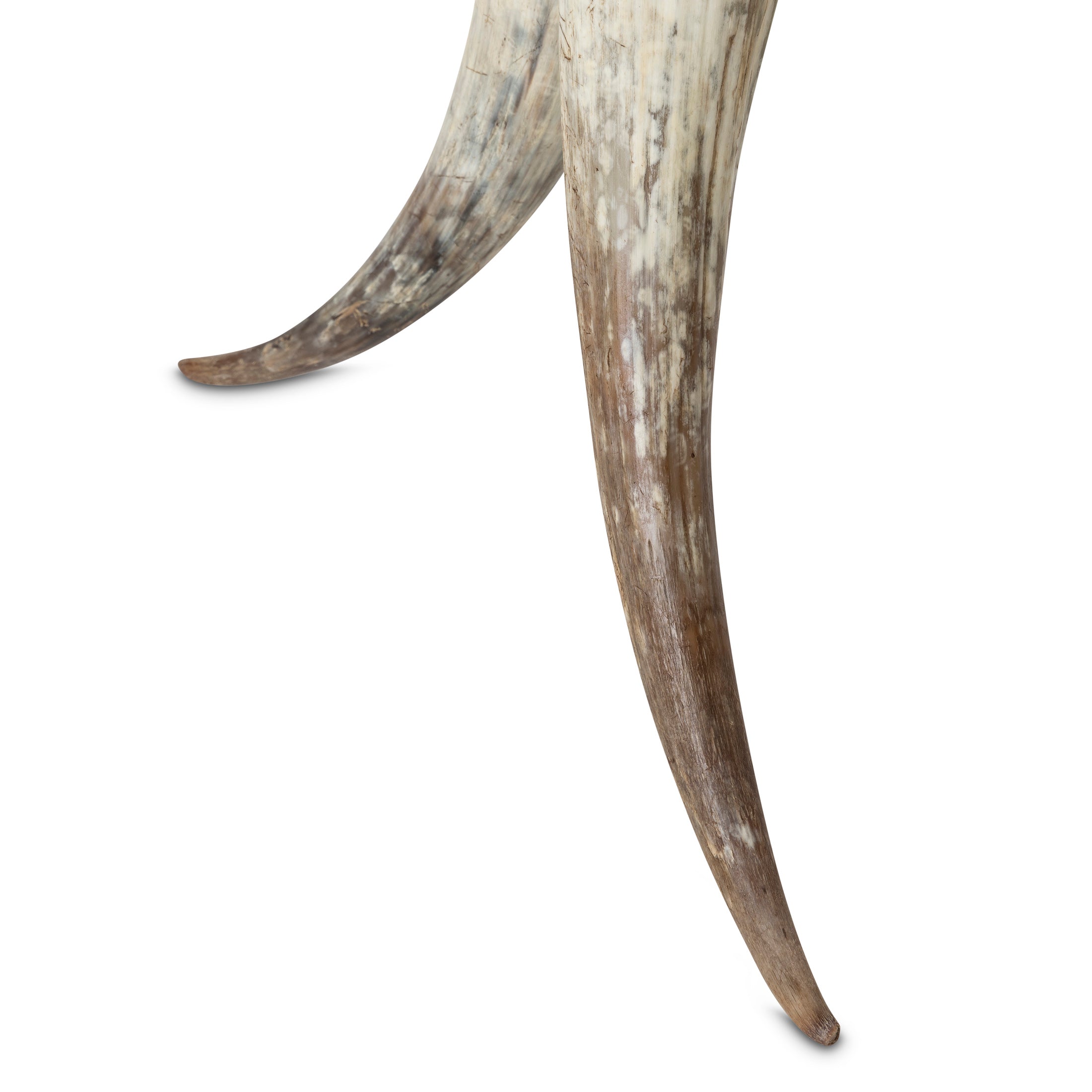 Cow Horn Table with Cream Cow Hide Top