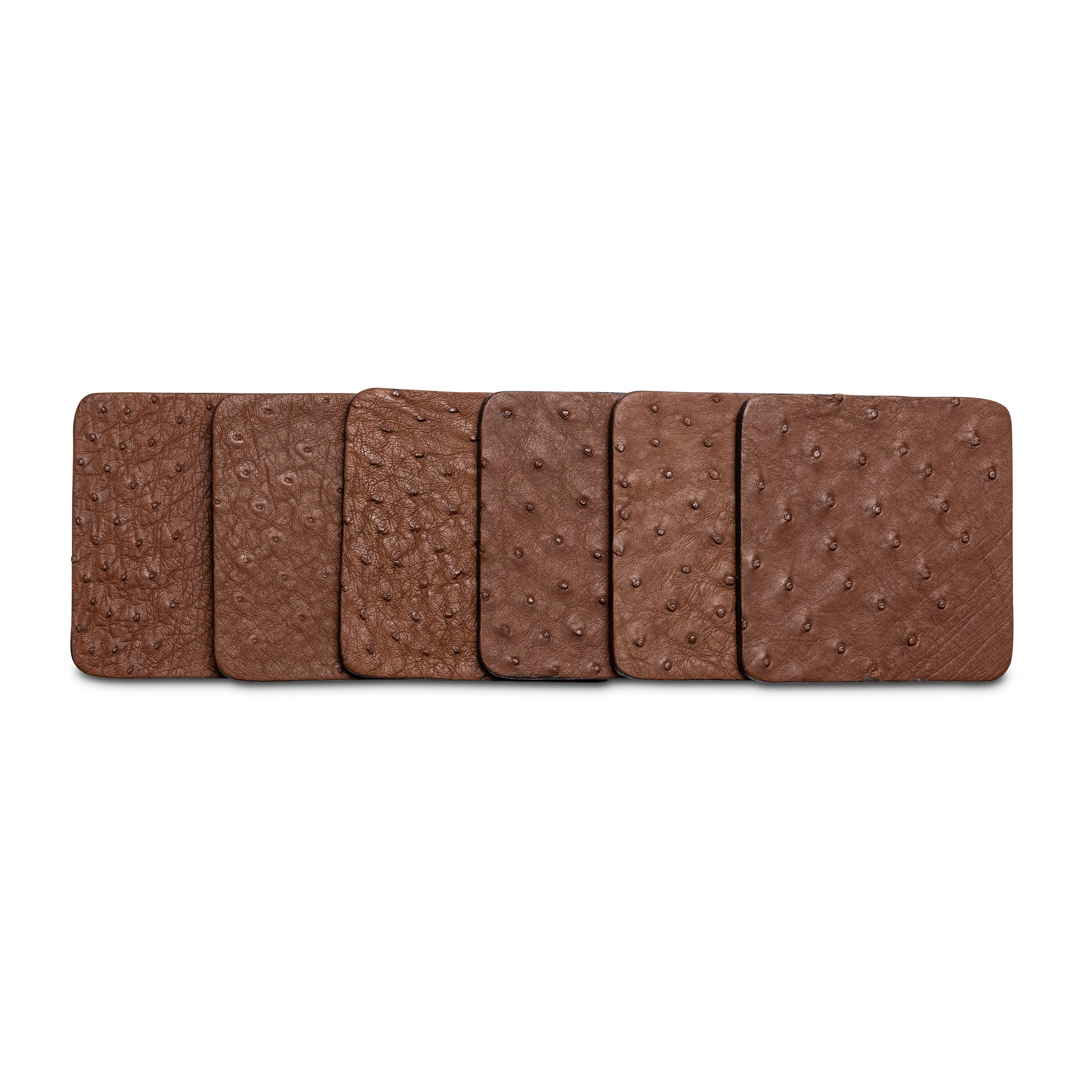 Ostrich Leather Coasters w/ Tie (S/6) - Brown