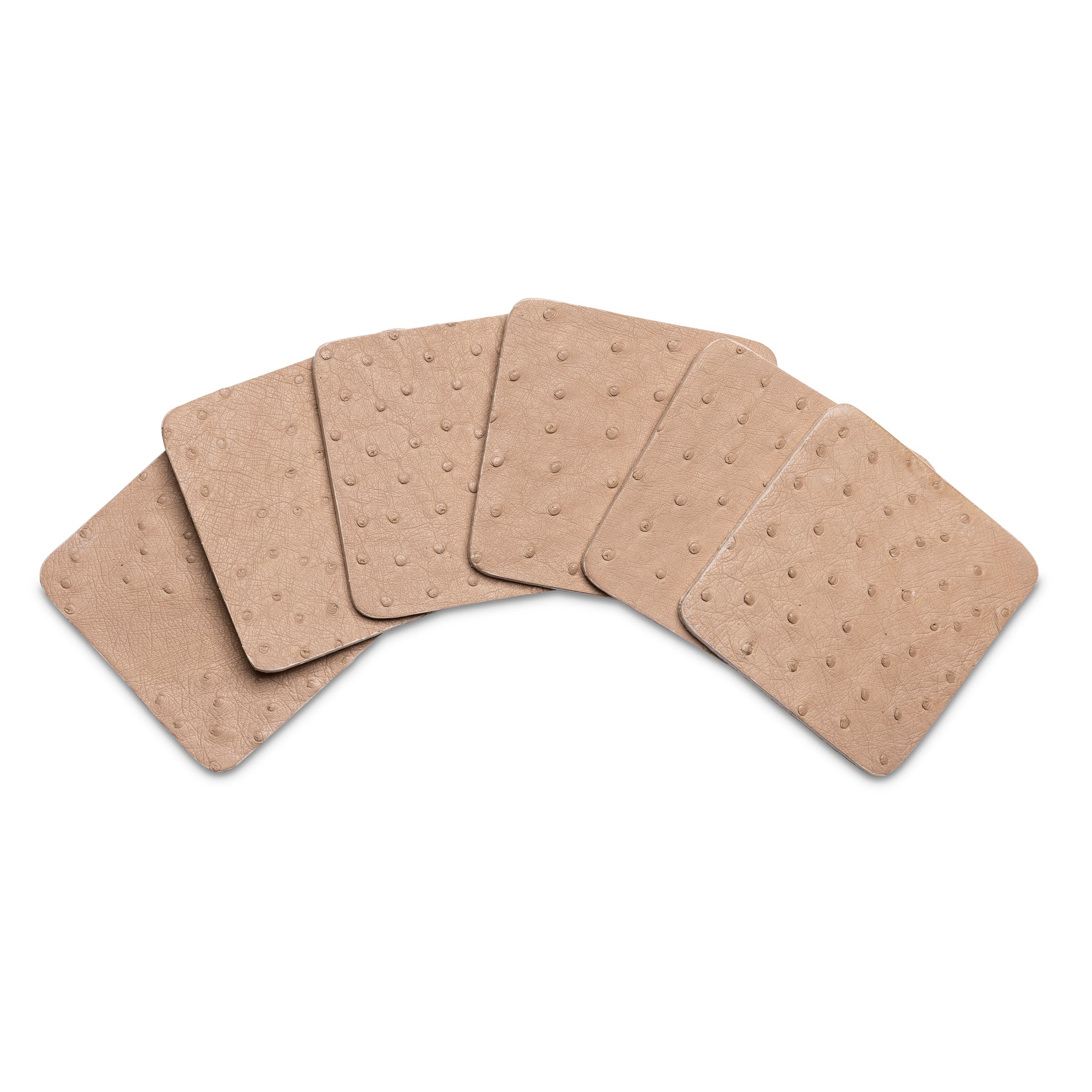 Ostrich Leather Coasters w/ Tie (S/6) - Cream