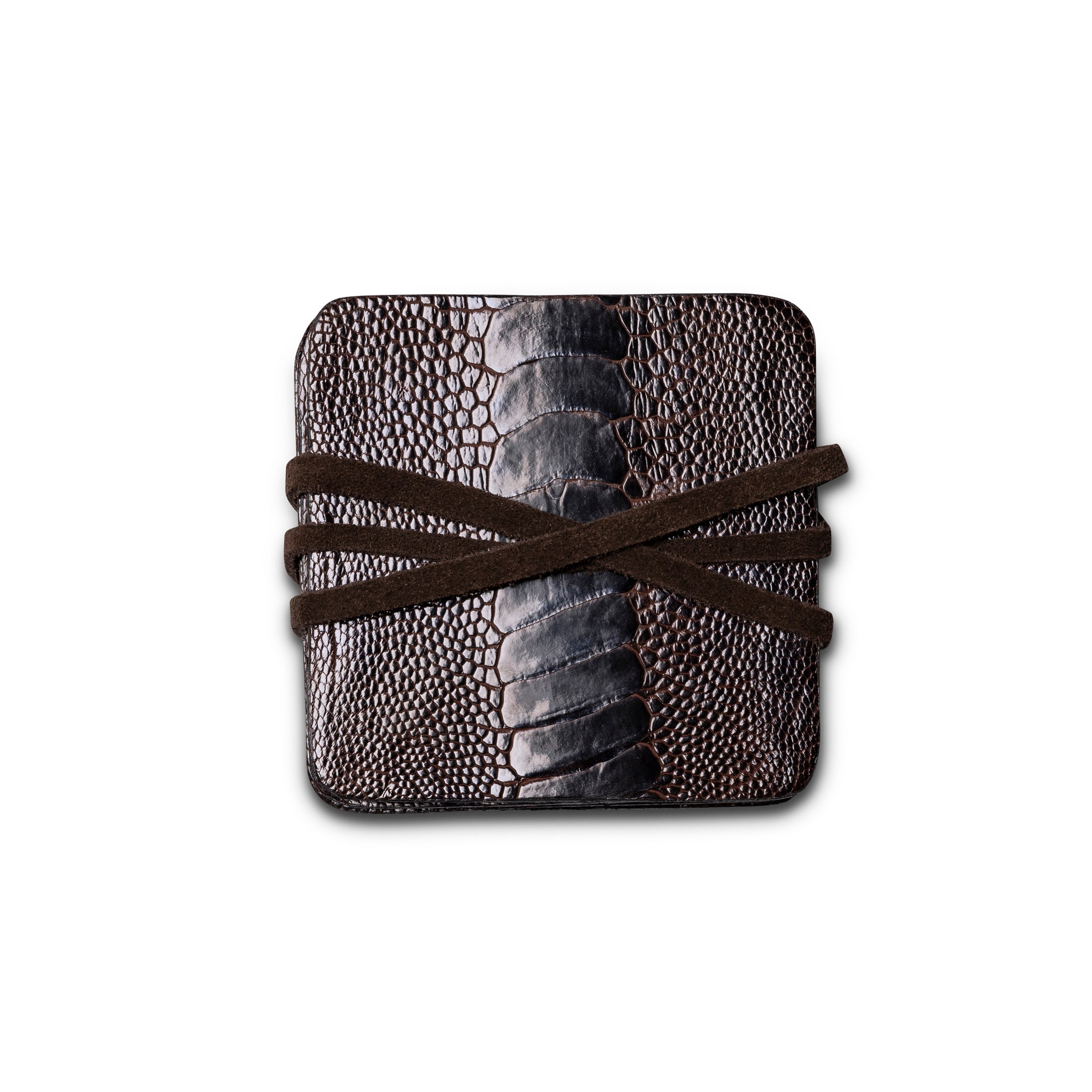 Ostrich Shin Coasters w/ Tie (s/6) - Brown