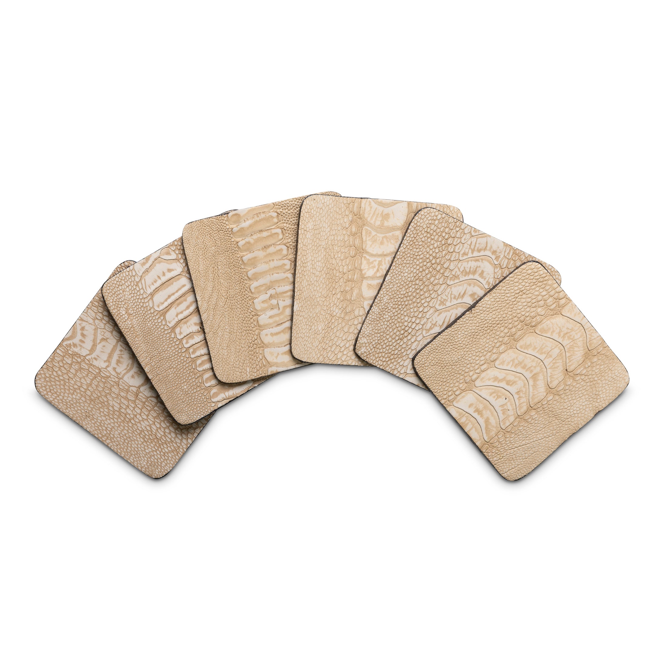 Ostrich Shin Coasters w/ Tie (s/6) - Stone Washed