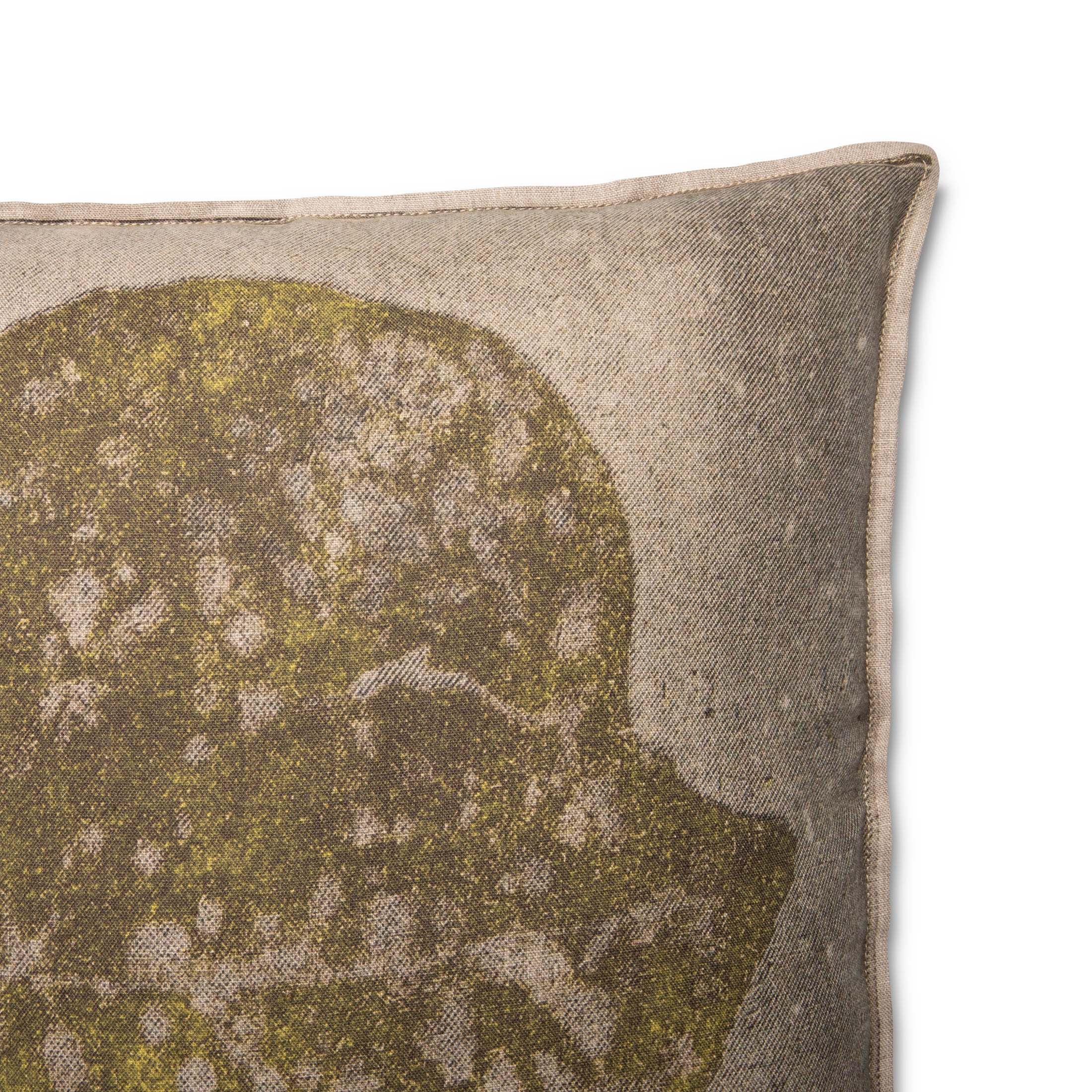 Blaartjie Printed Pillow