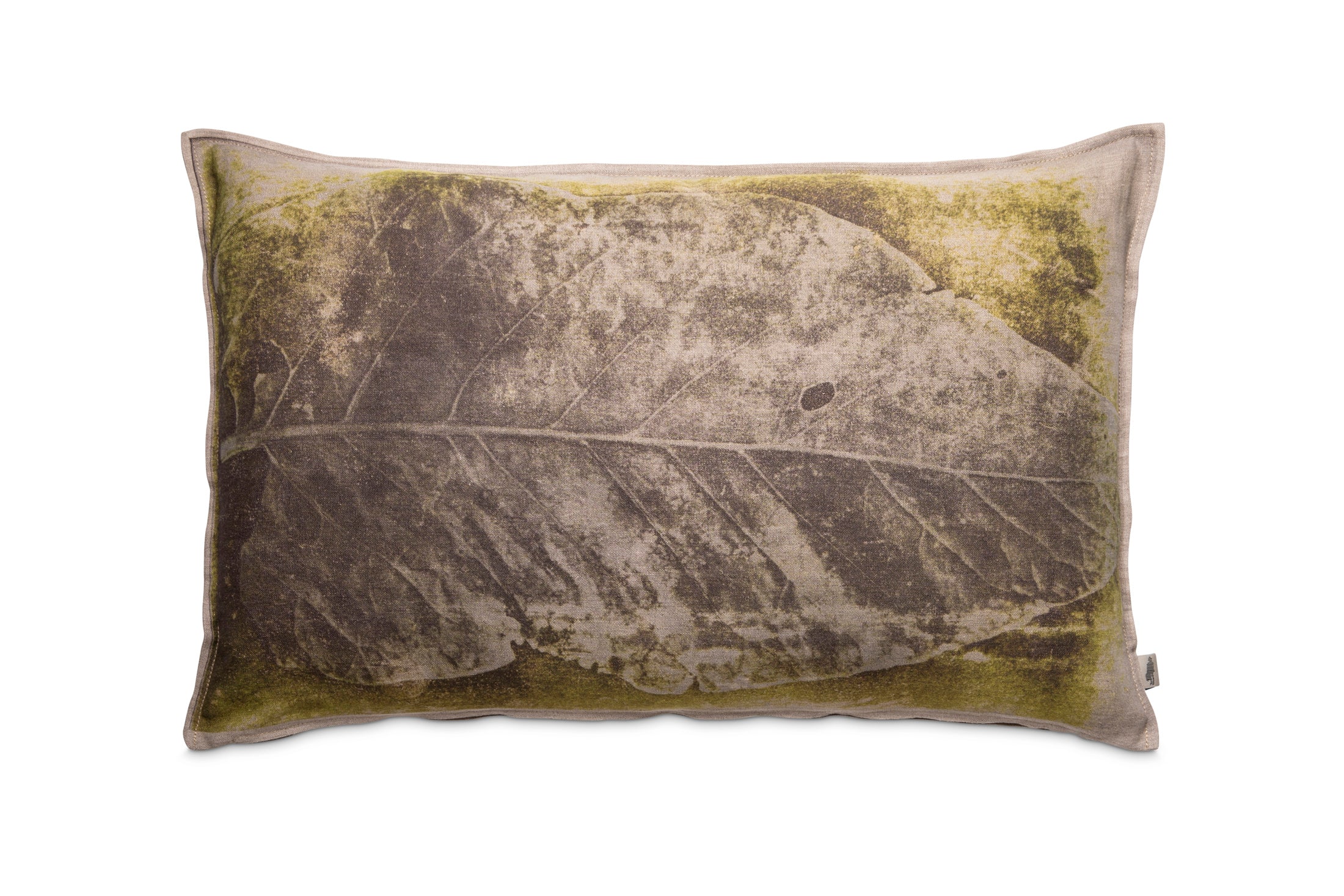 Droe Blaar Printed Pillow