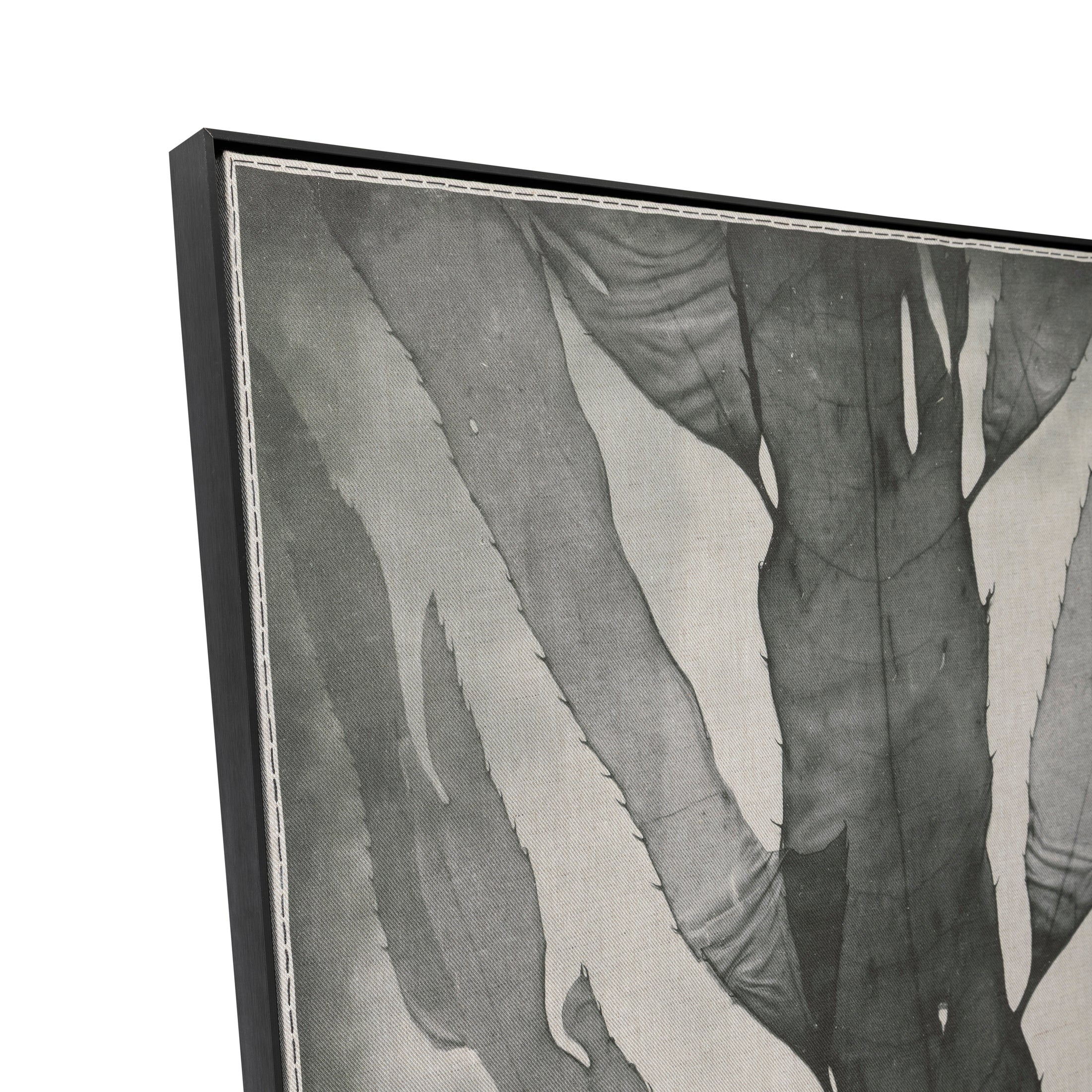 Nemastoma Framed Panel