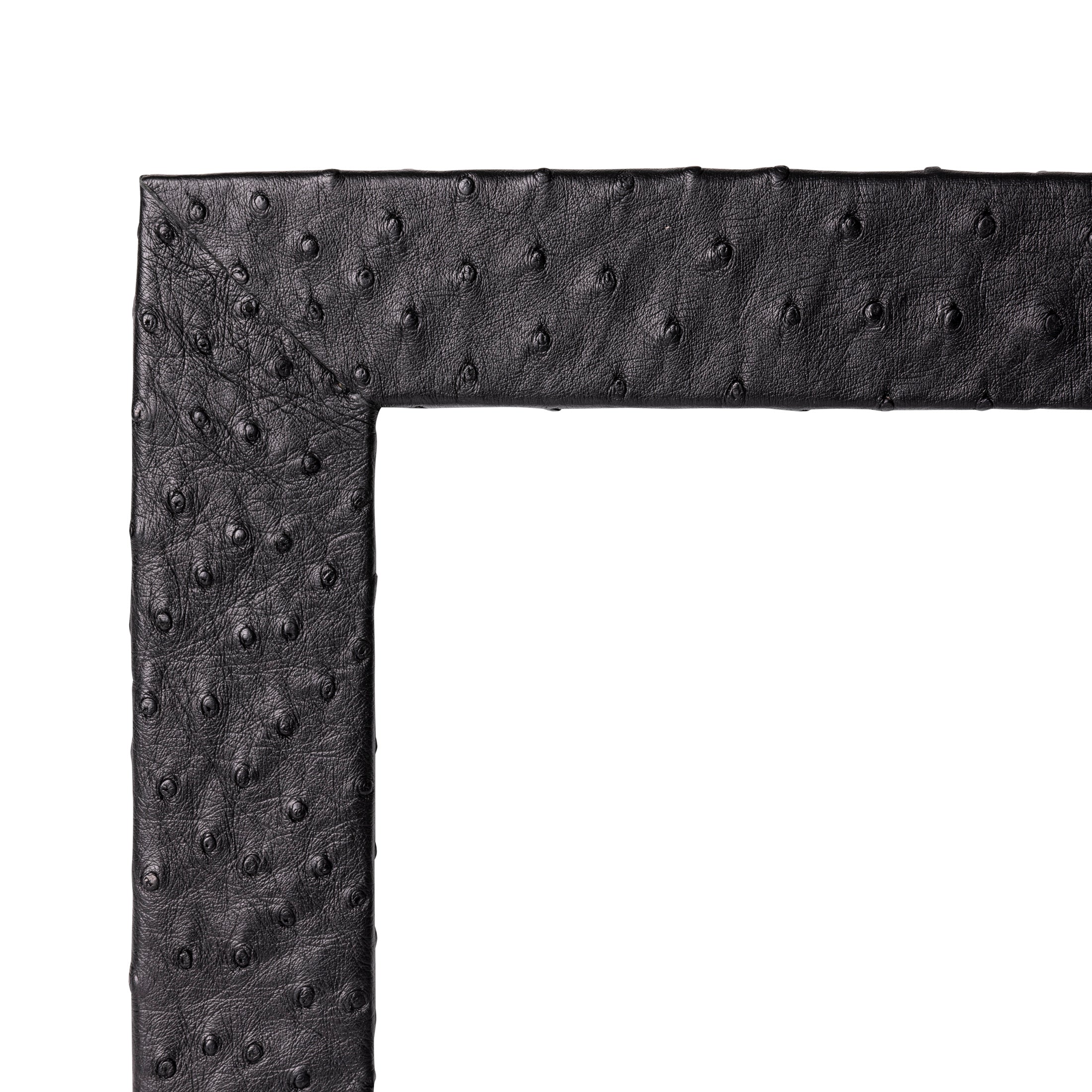 Ostrich Leather Photo Frame - Black