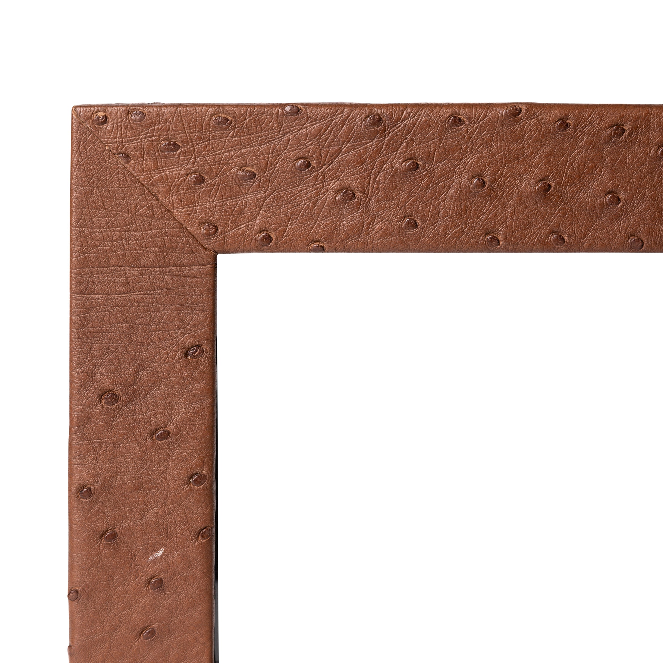Ostrich Leather Photo Frame - Brown