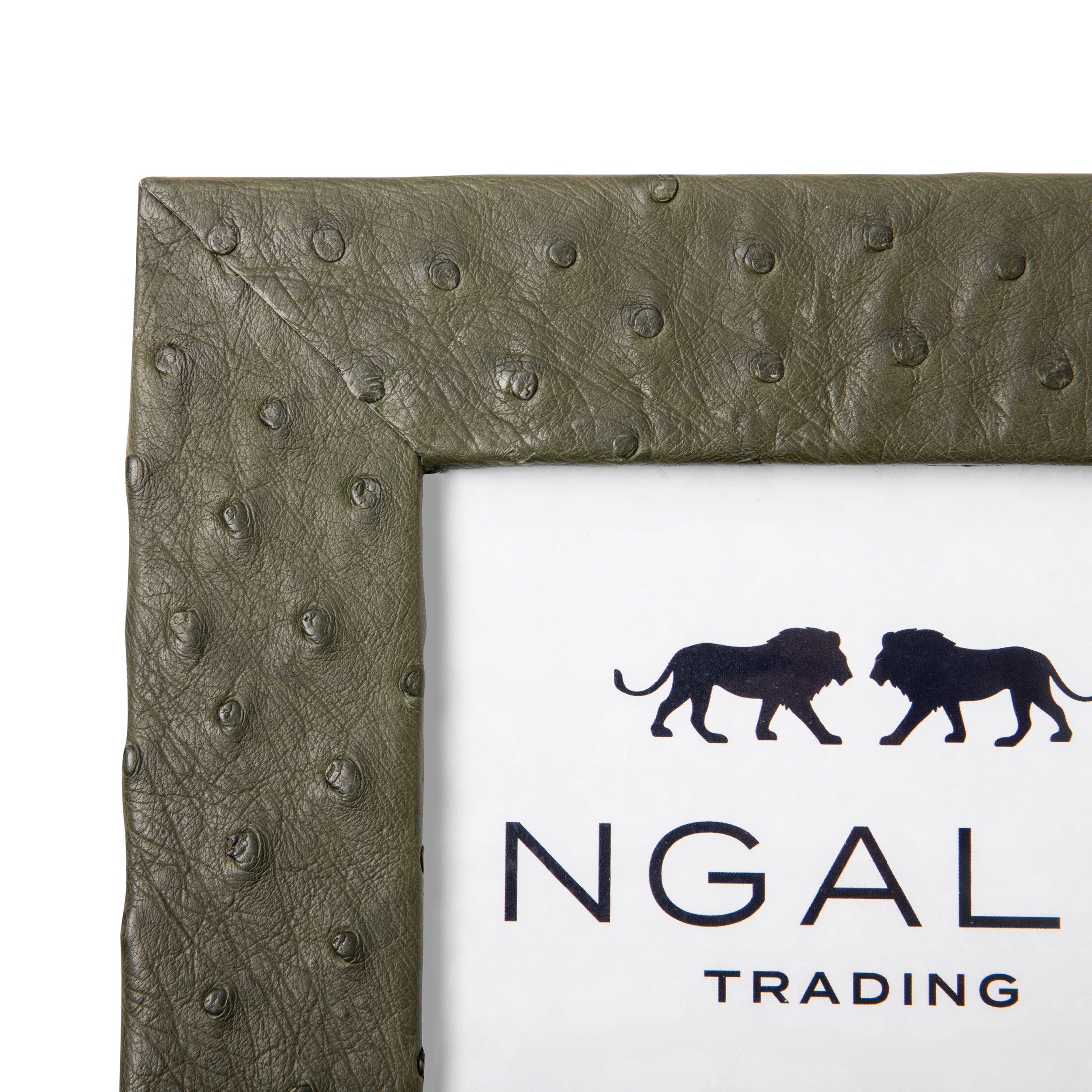 Ostrich Leather Photo Frame - Forest Green