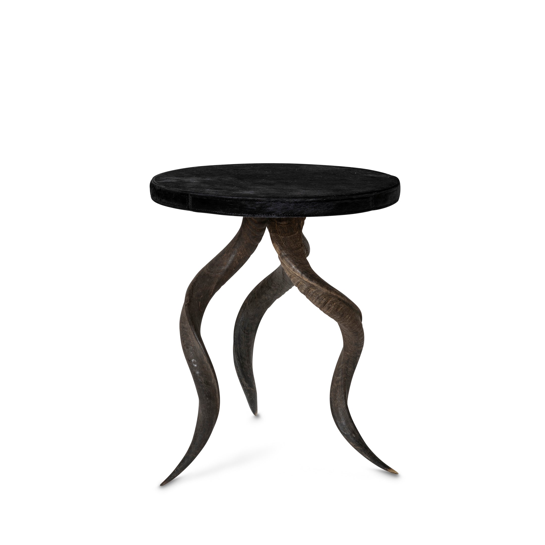 Natural Kudu Horn Table
