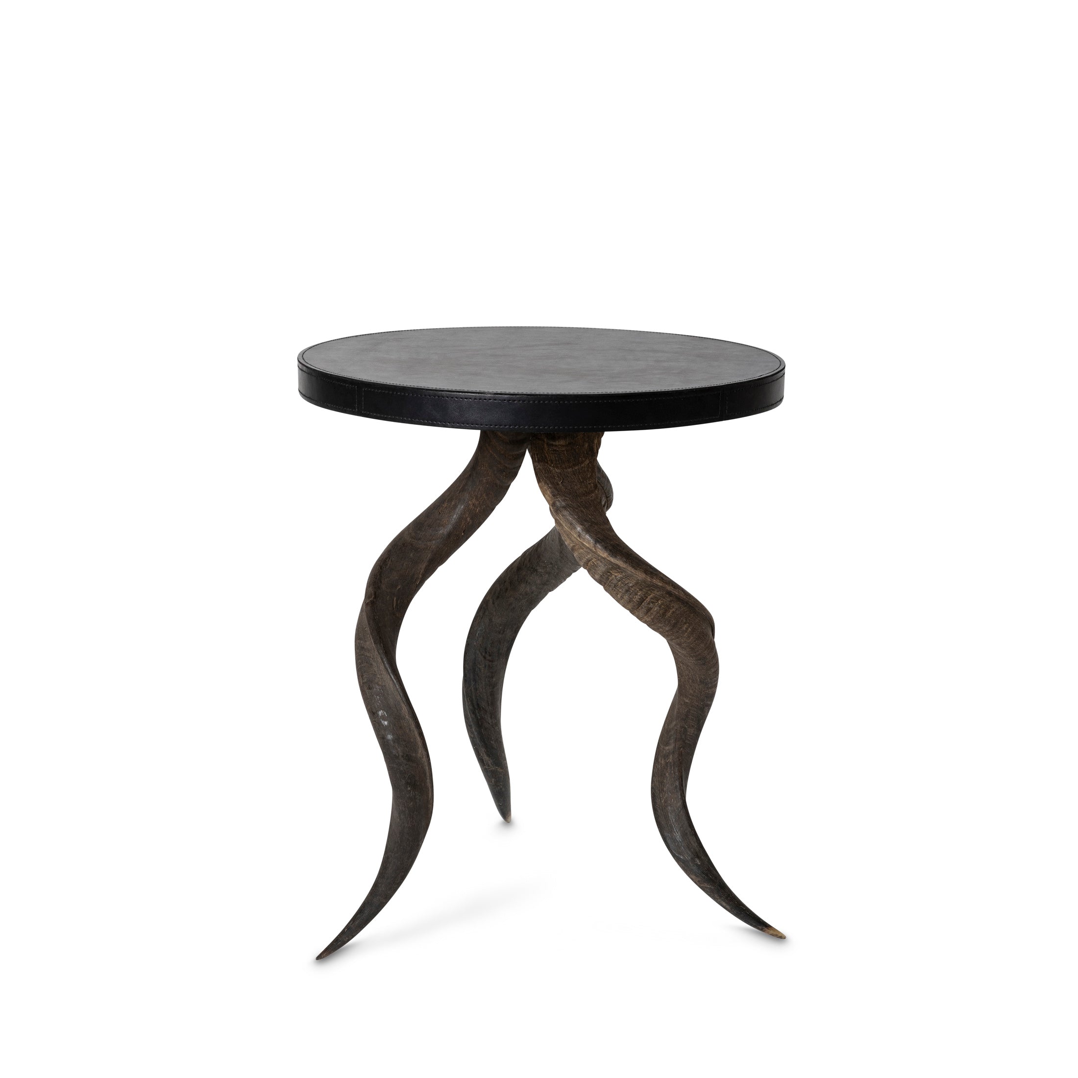 Natural Kudu Horn Table