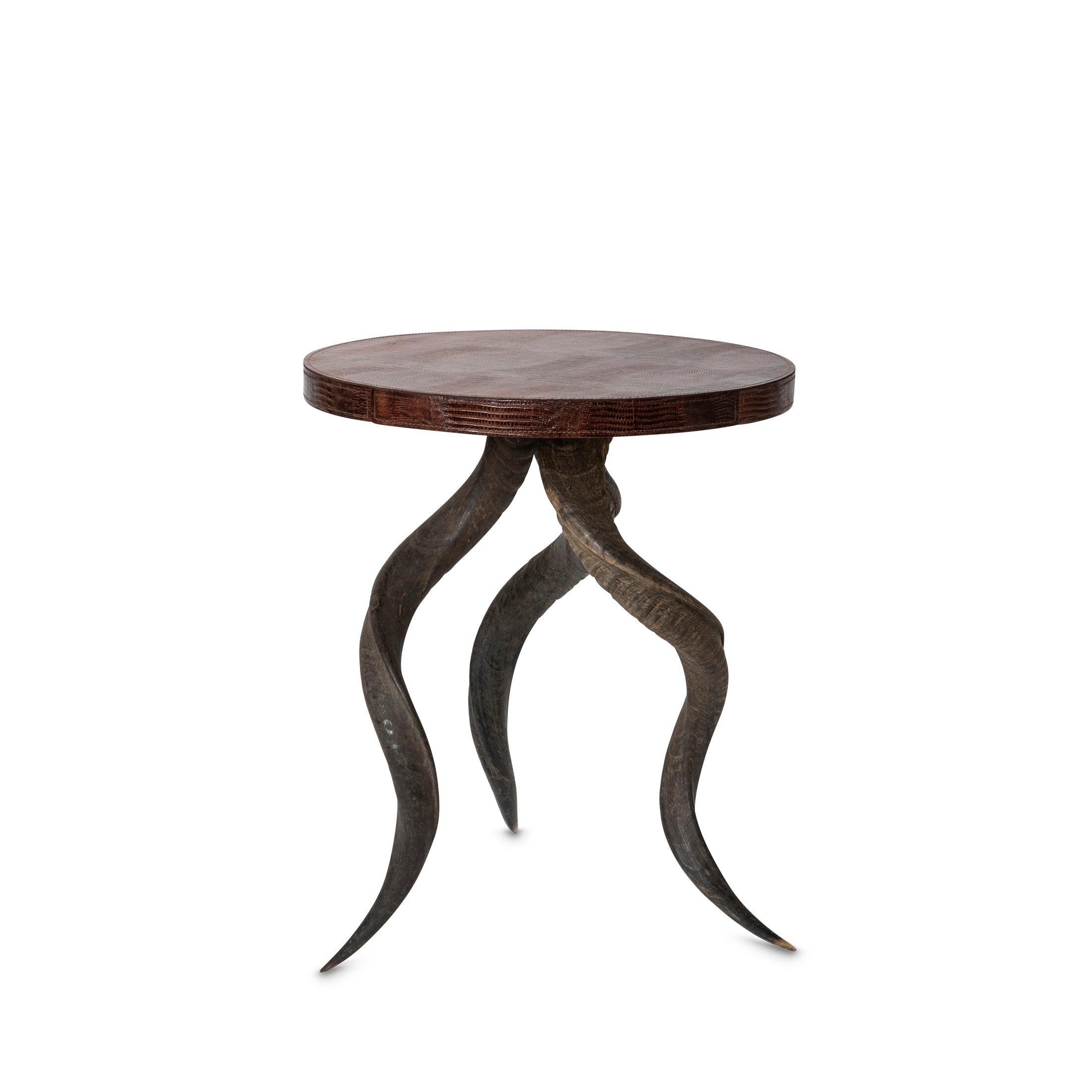 Natural Kudu Horn Table