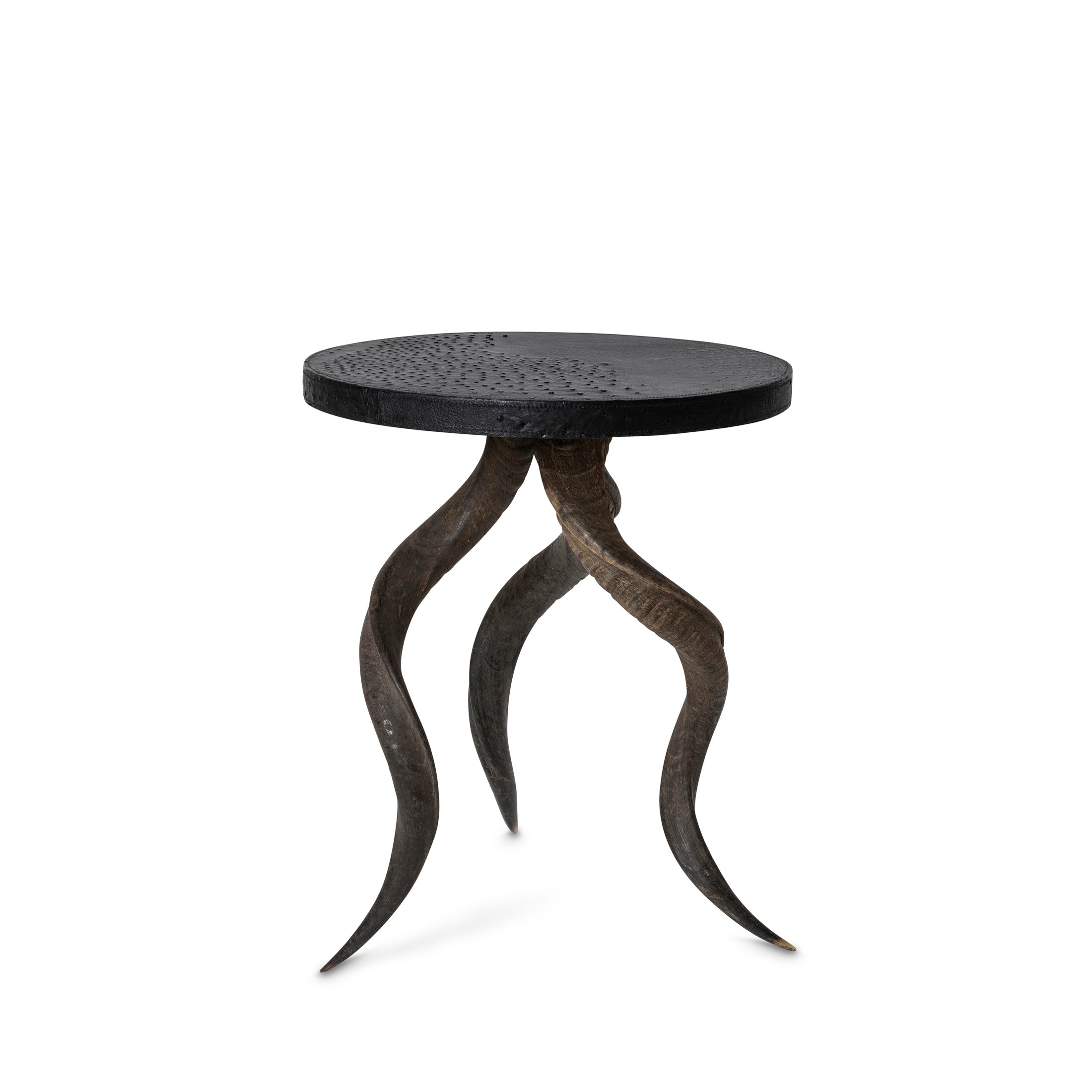 Natural Kudu Horn Table
