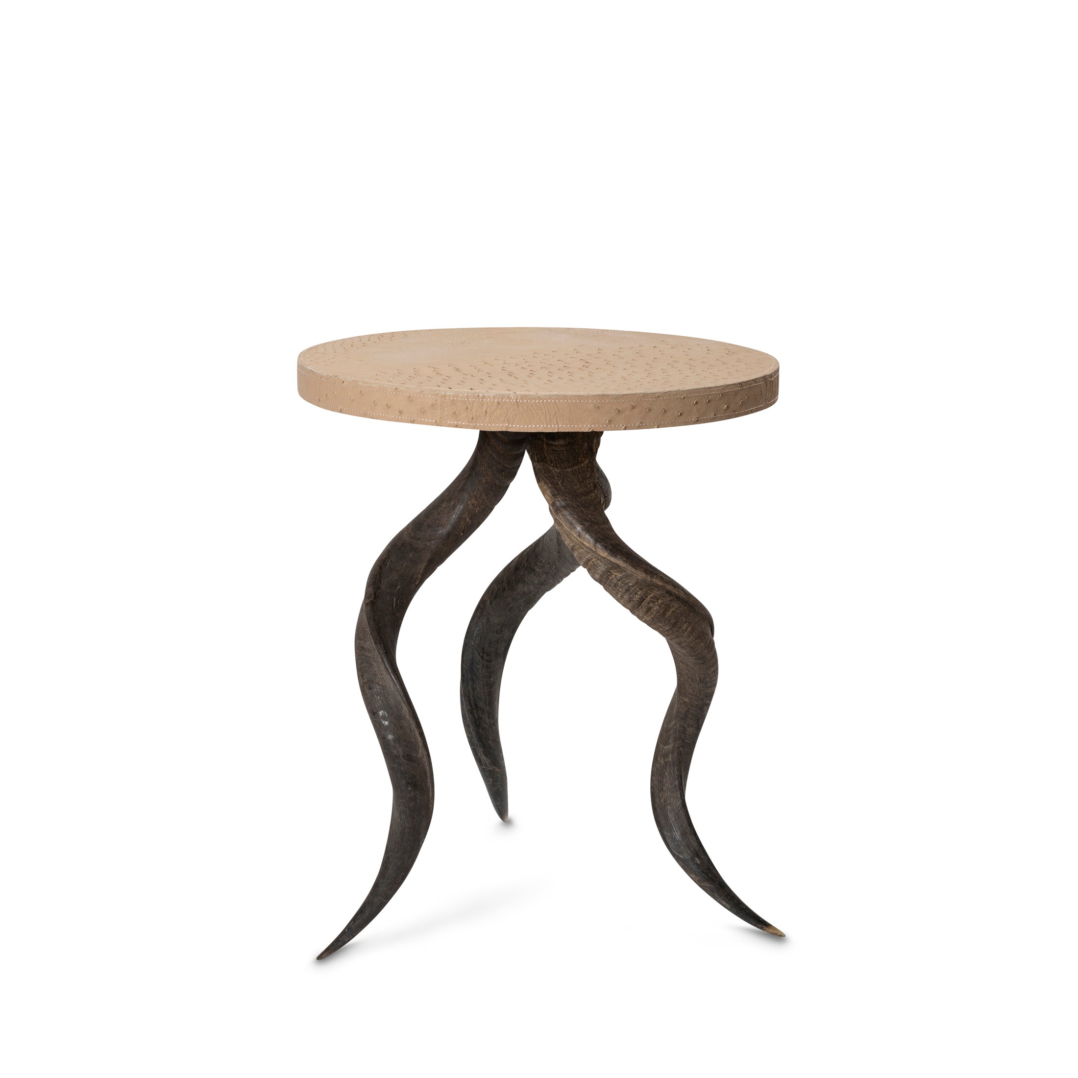 Natural Kudu Horn Table