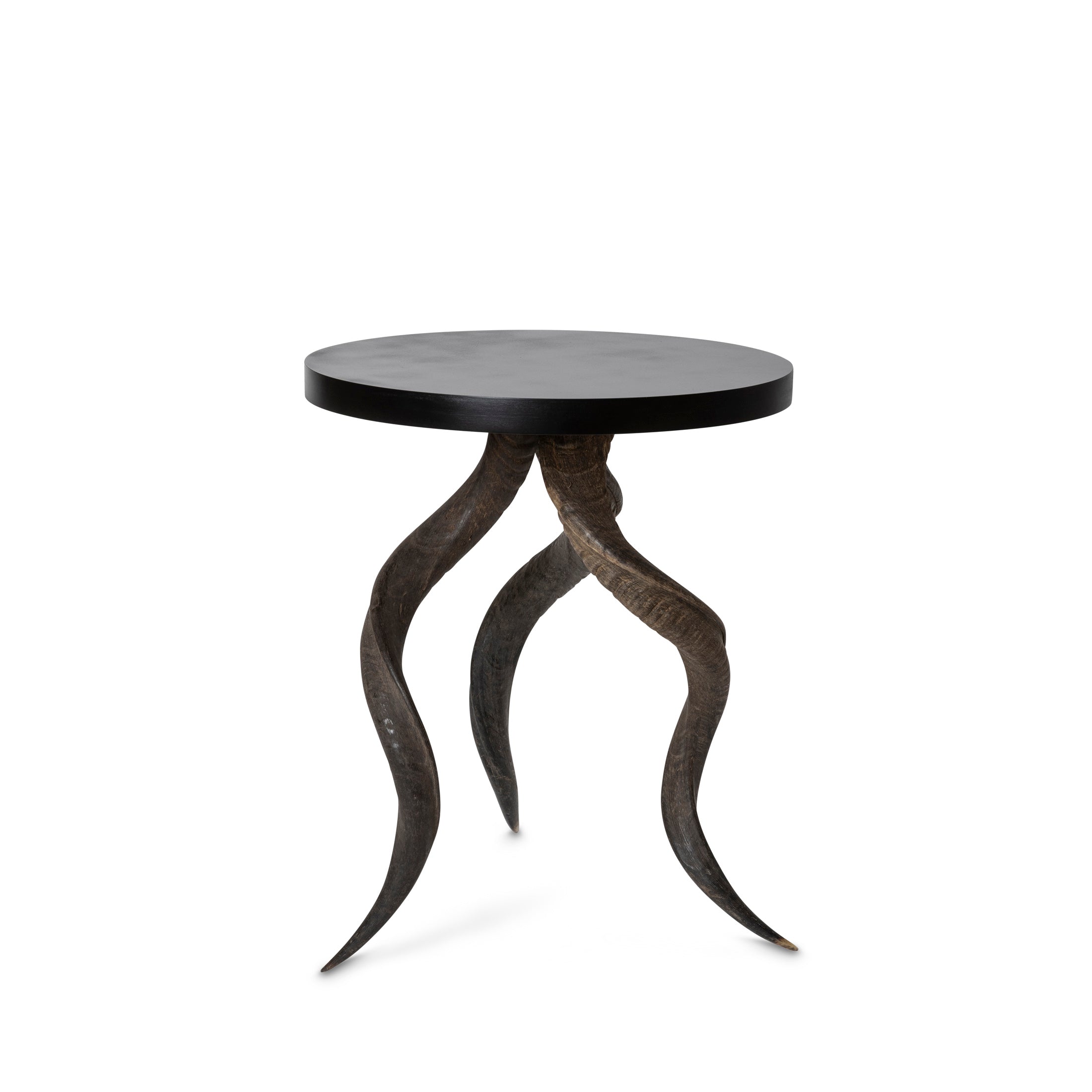 Natural Kudu Horn Table