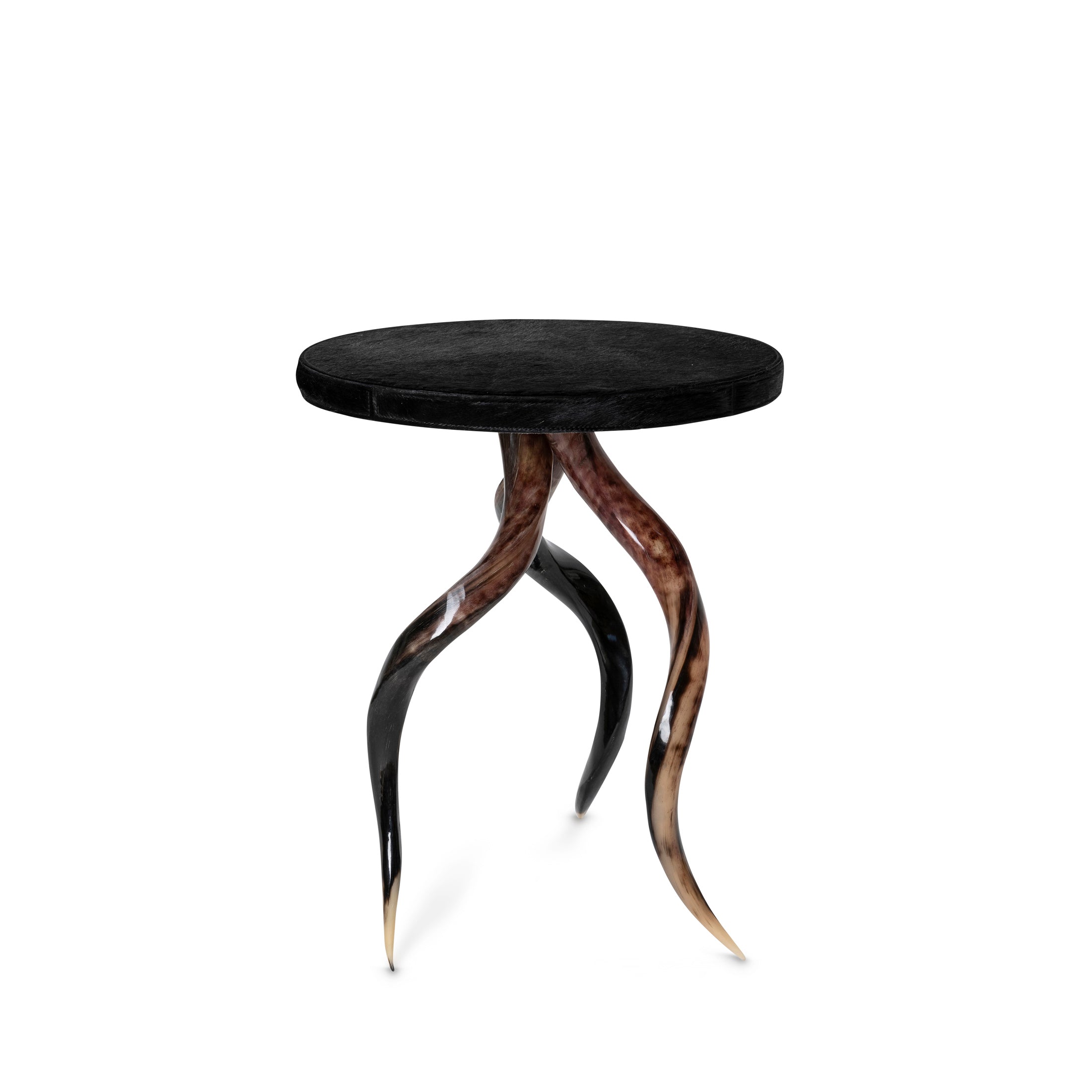 Polished Kudu Horn Table
