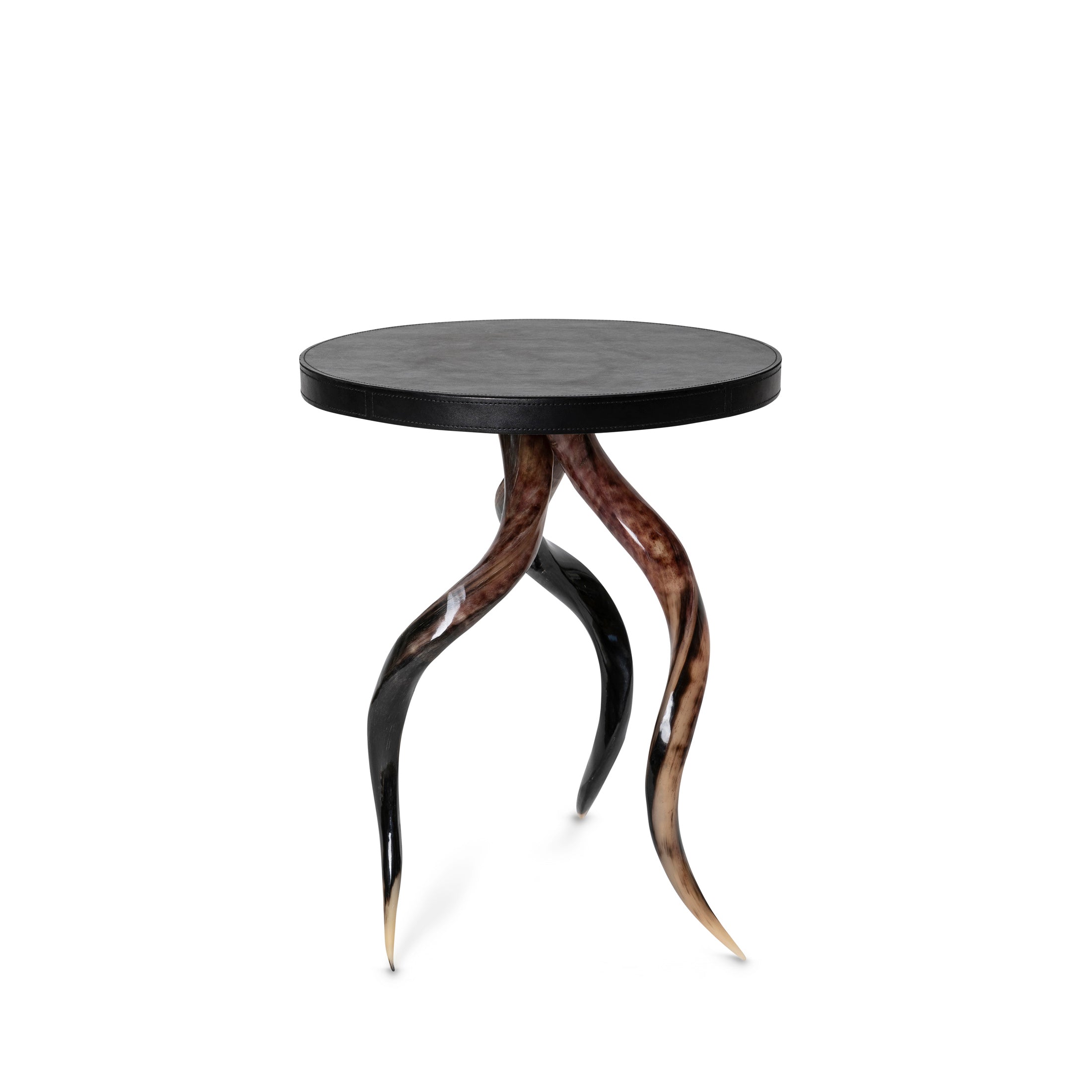 Polished Kudu Horn Table