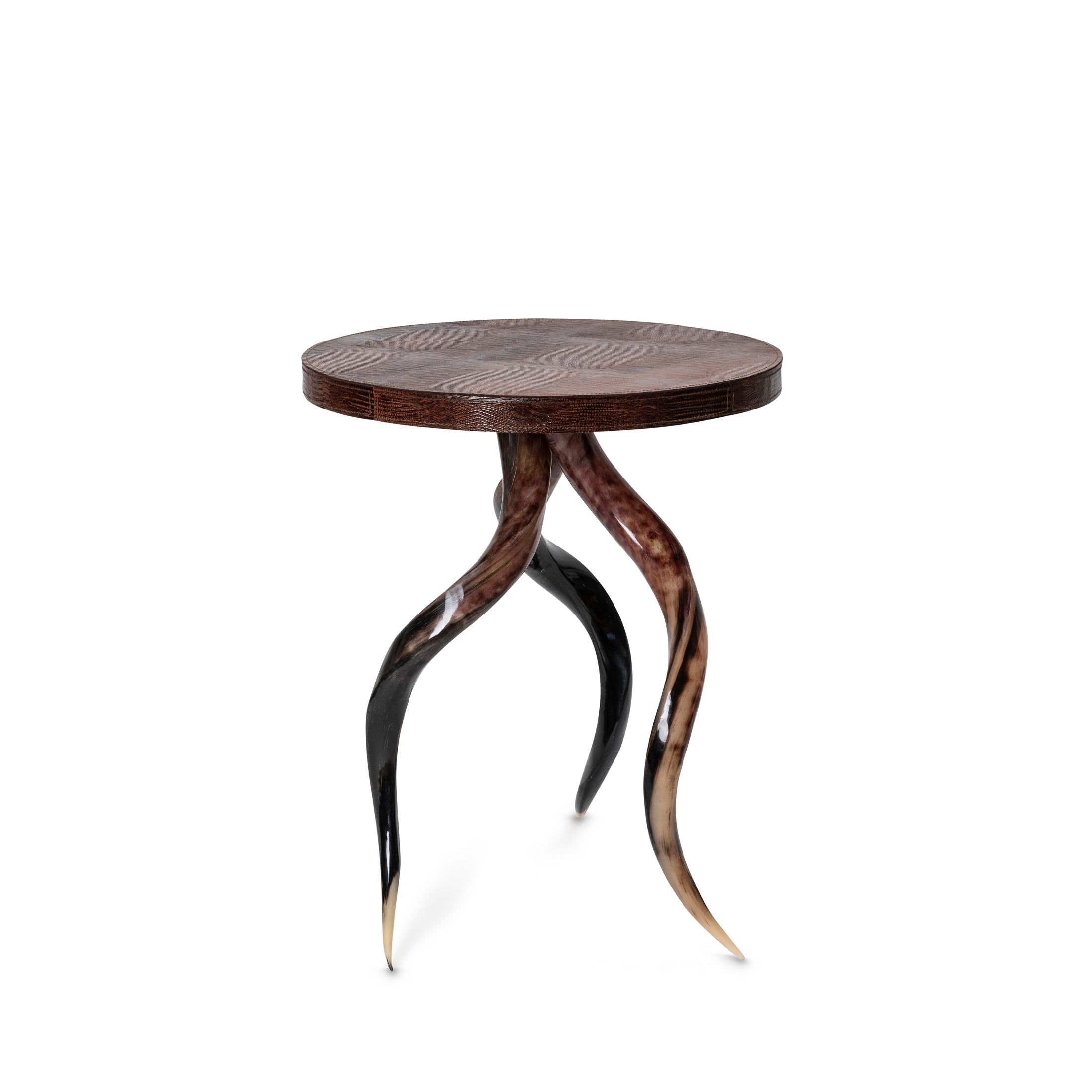 Polished Kudu Horn Table