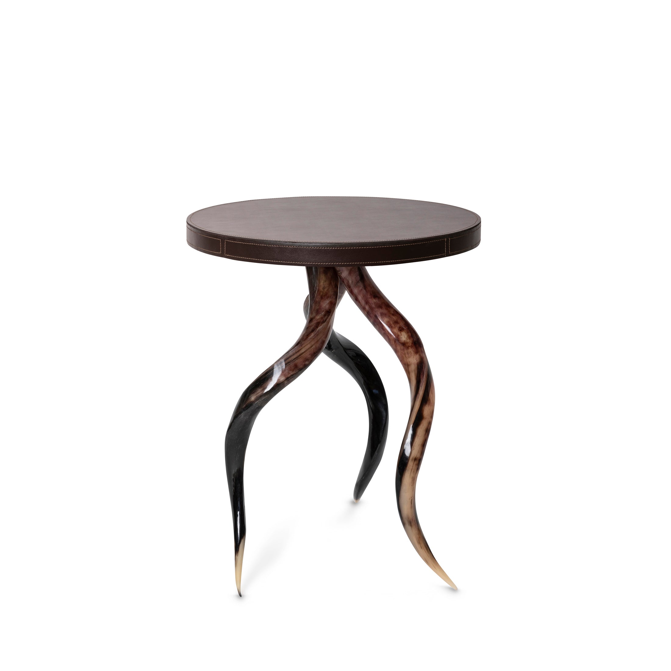 Polished Kudu Horn Table