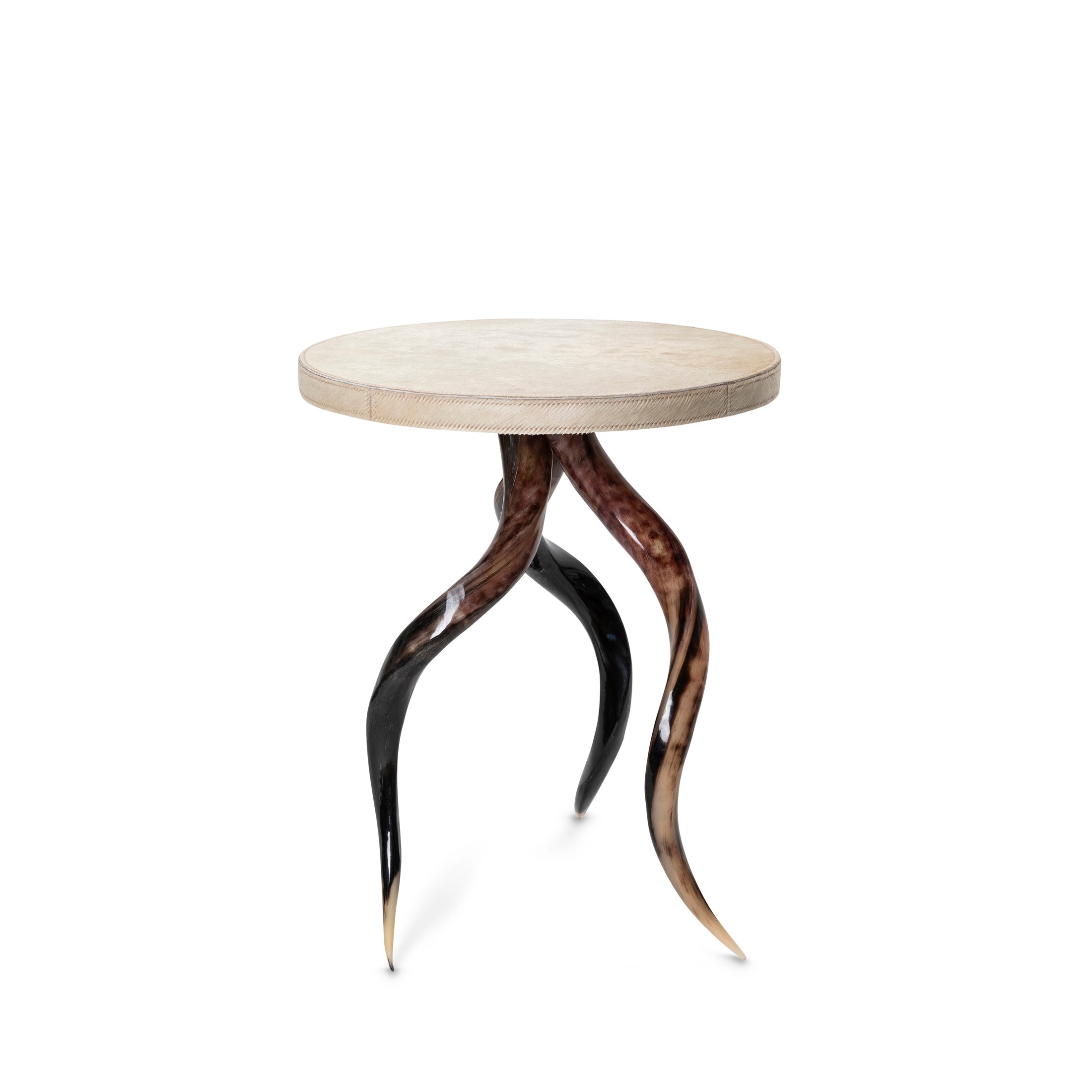 Polished Kudu Horn Table