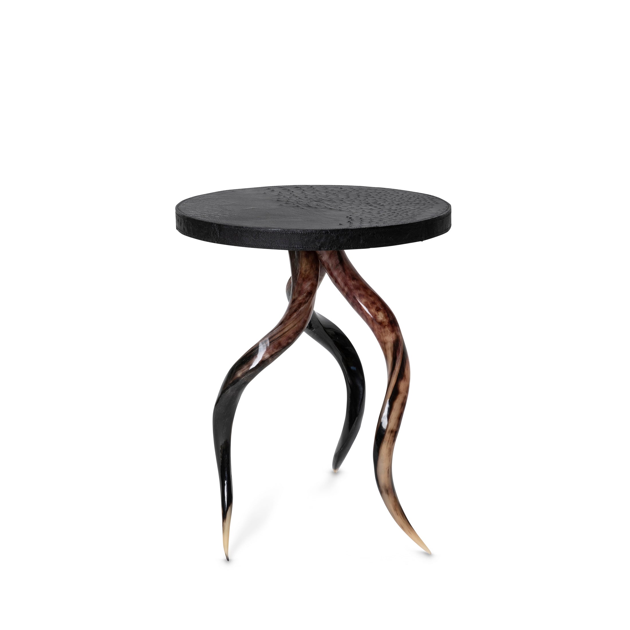 Polished Kudu Horn Table