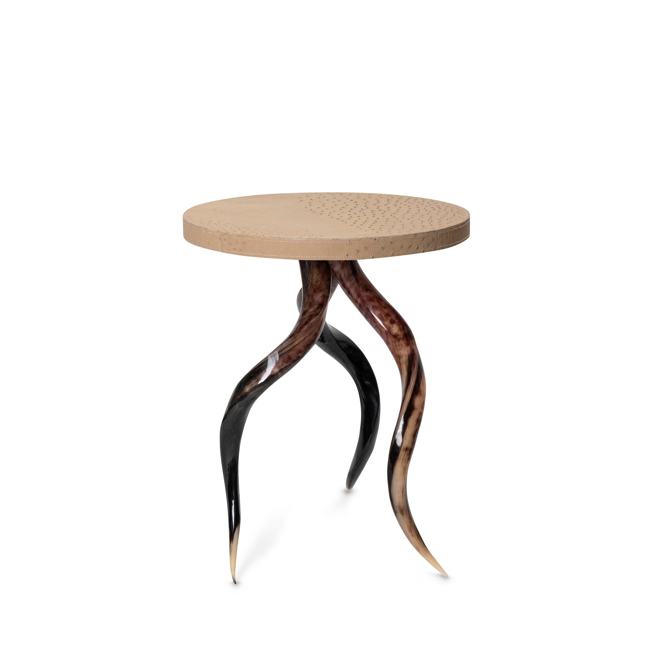 Polished Kudu Horn Table