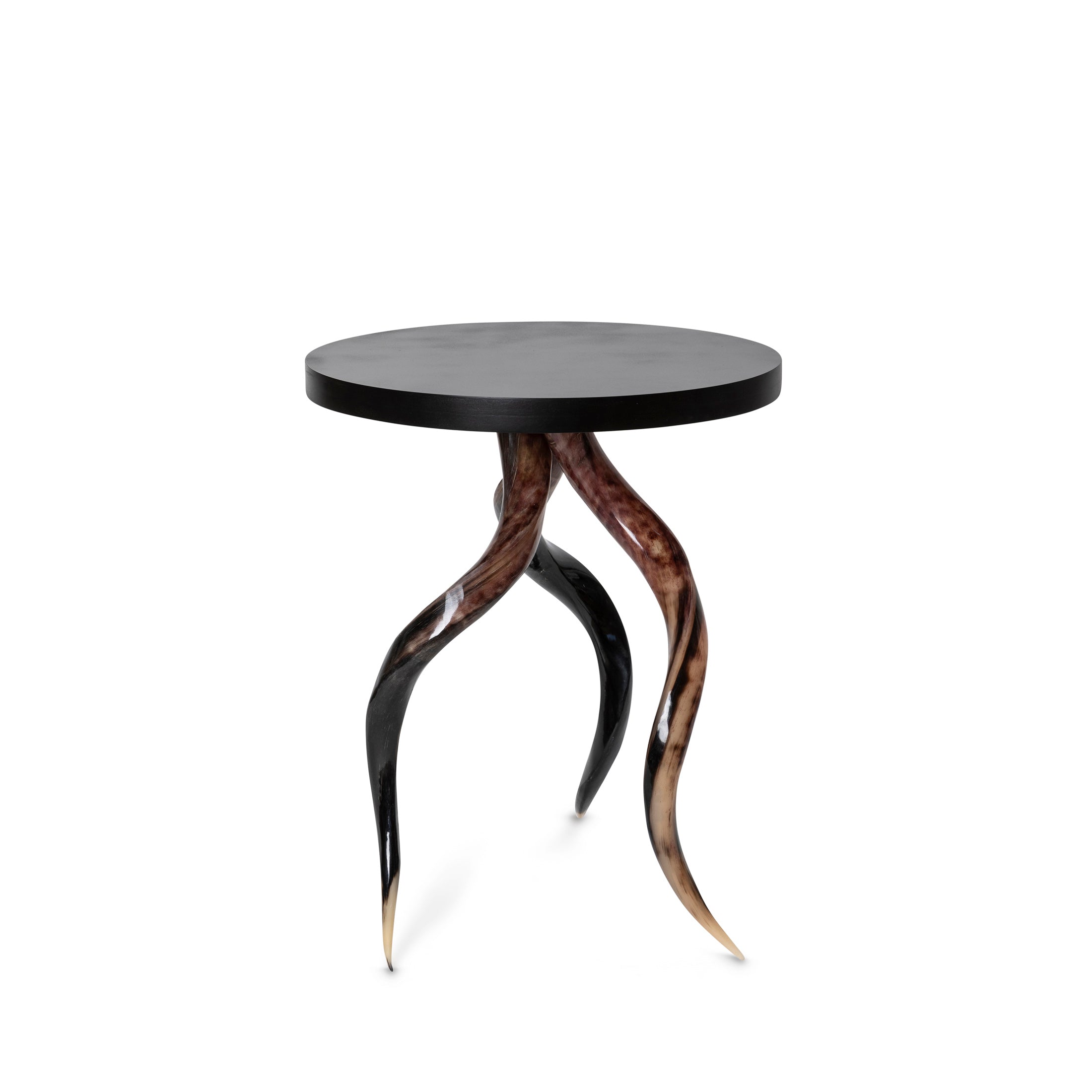 Polished Kudu Horn Table