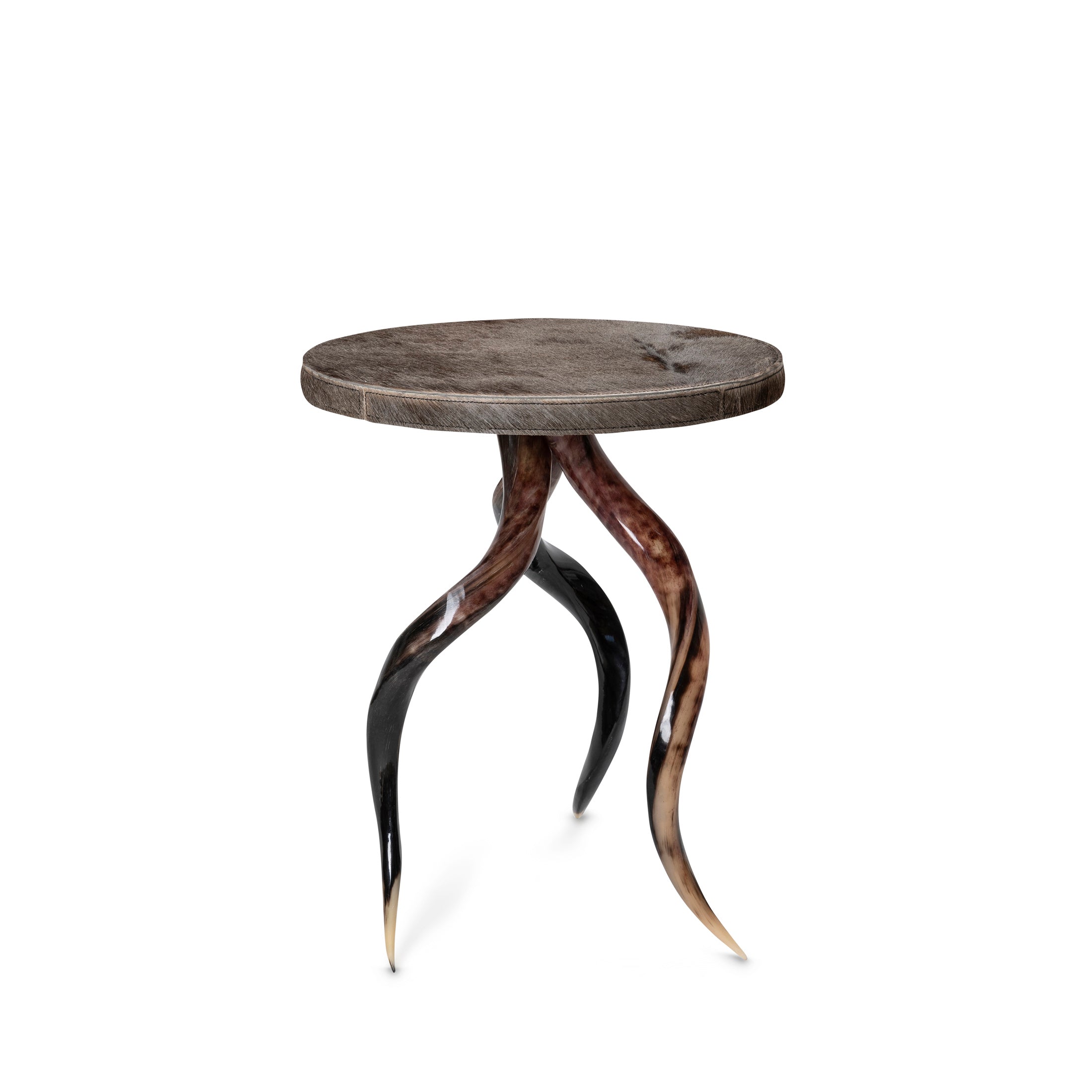 Polished Kudu Horn Table