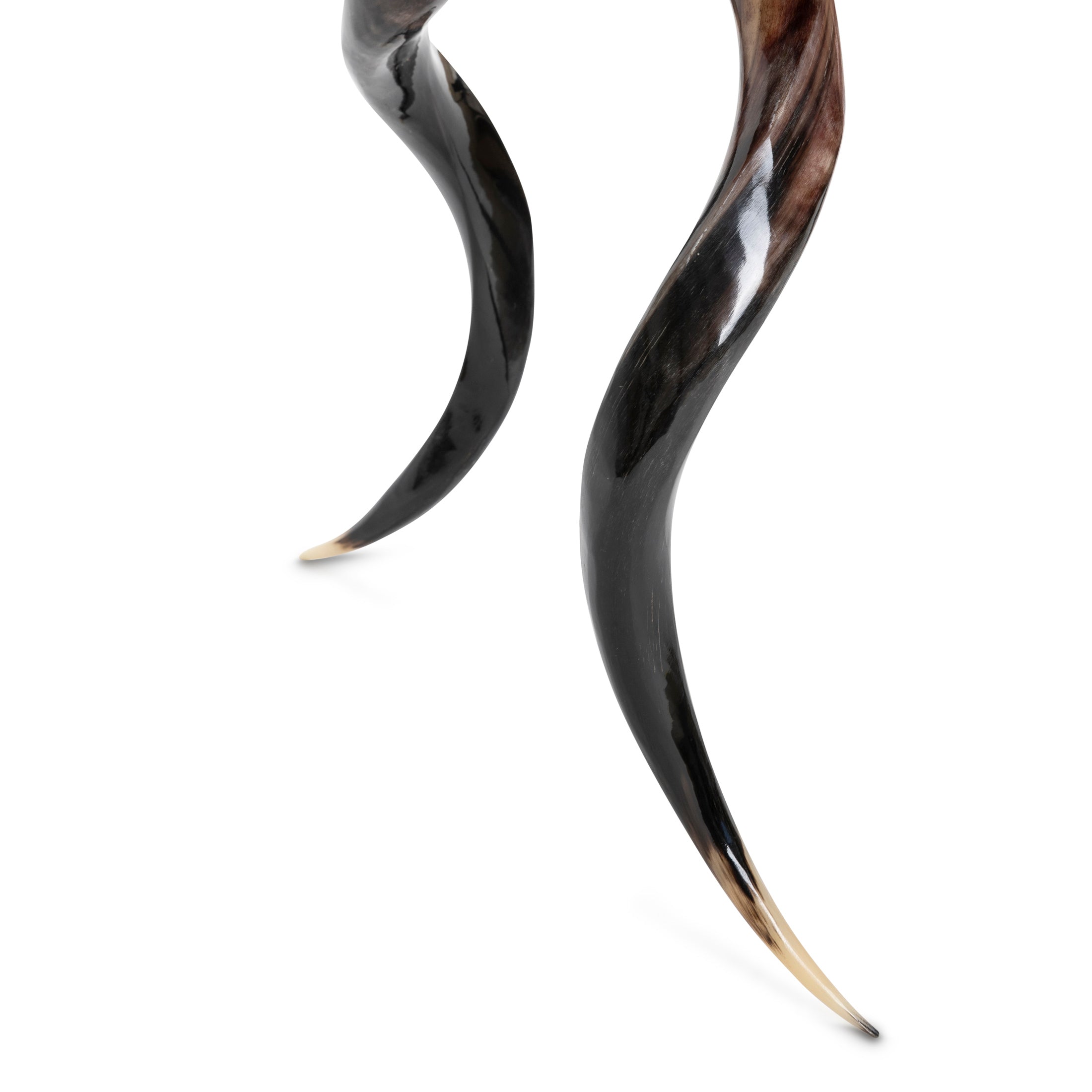 Polished Kudu Horn Table