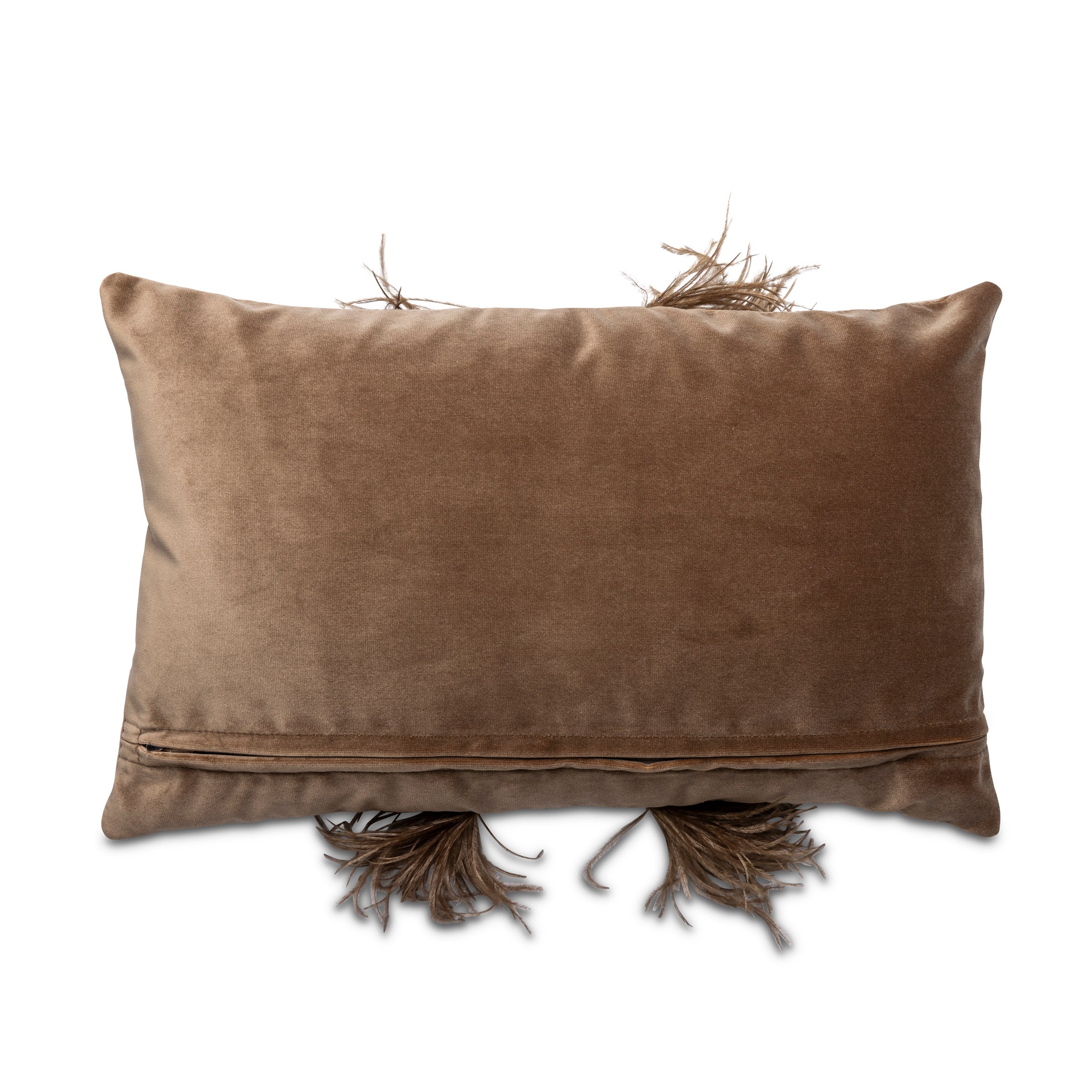 Ostrich Trim Pillow - Antique / Velvet