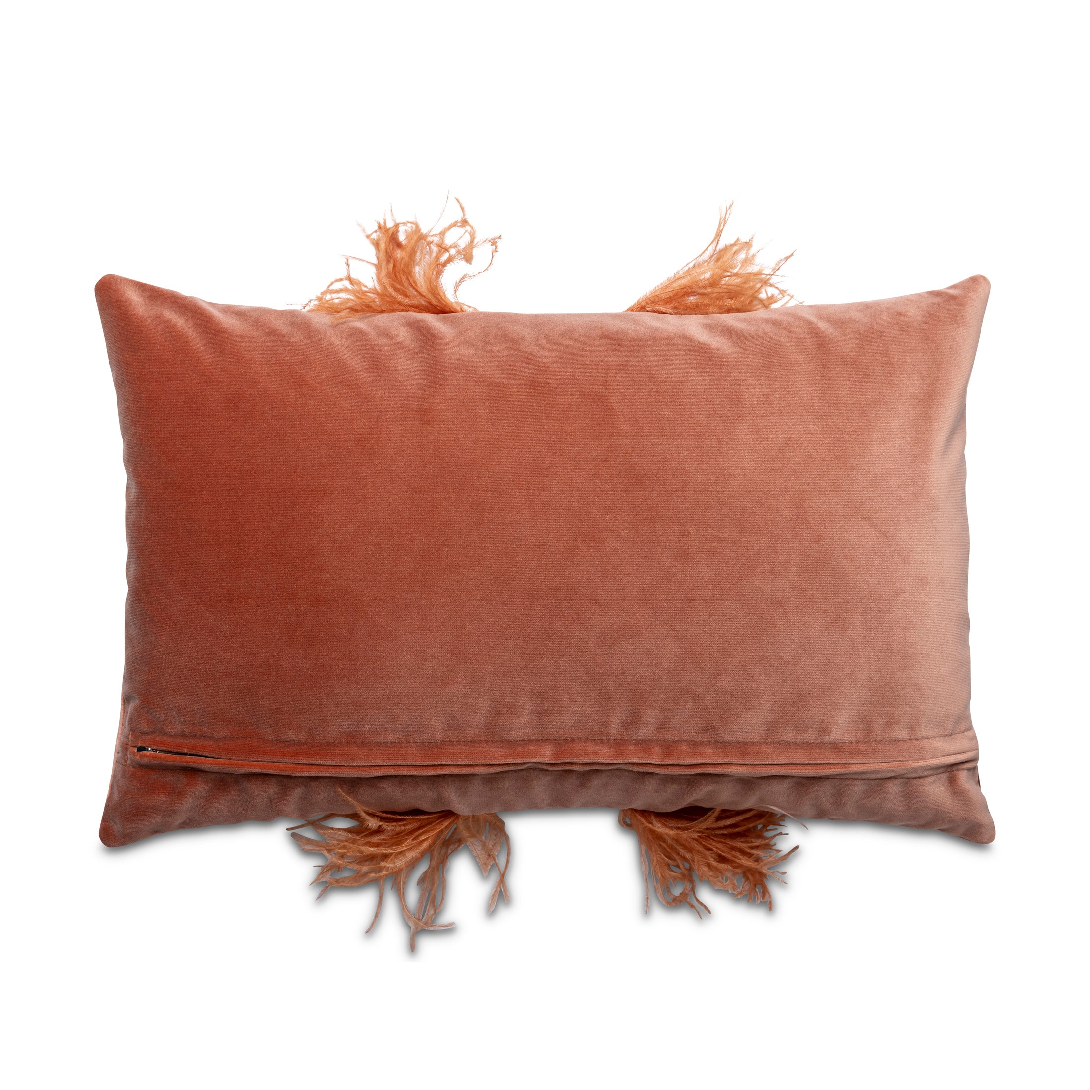 Ostrich Trim Pillow - Peach / Velvet