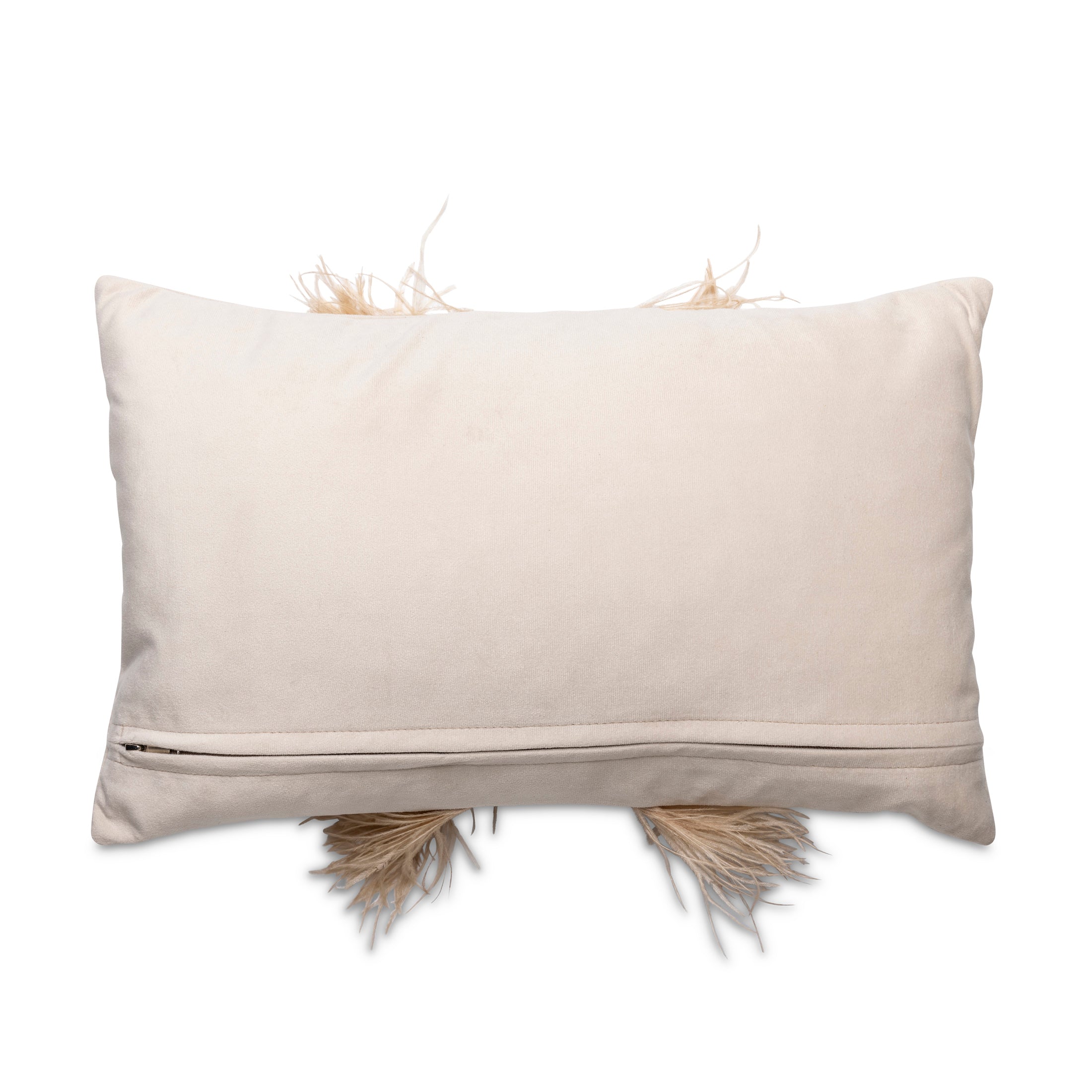Ostrich Trim Pillow - Wheat / Velvet