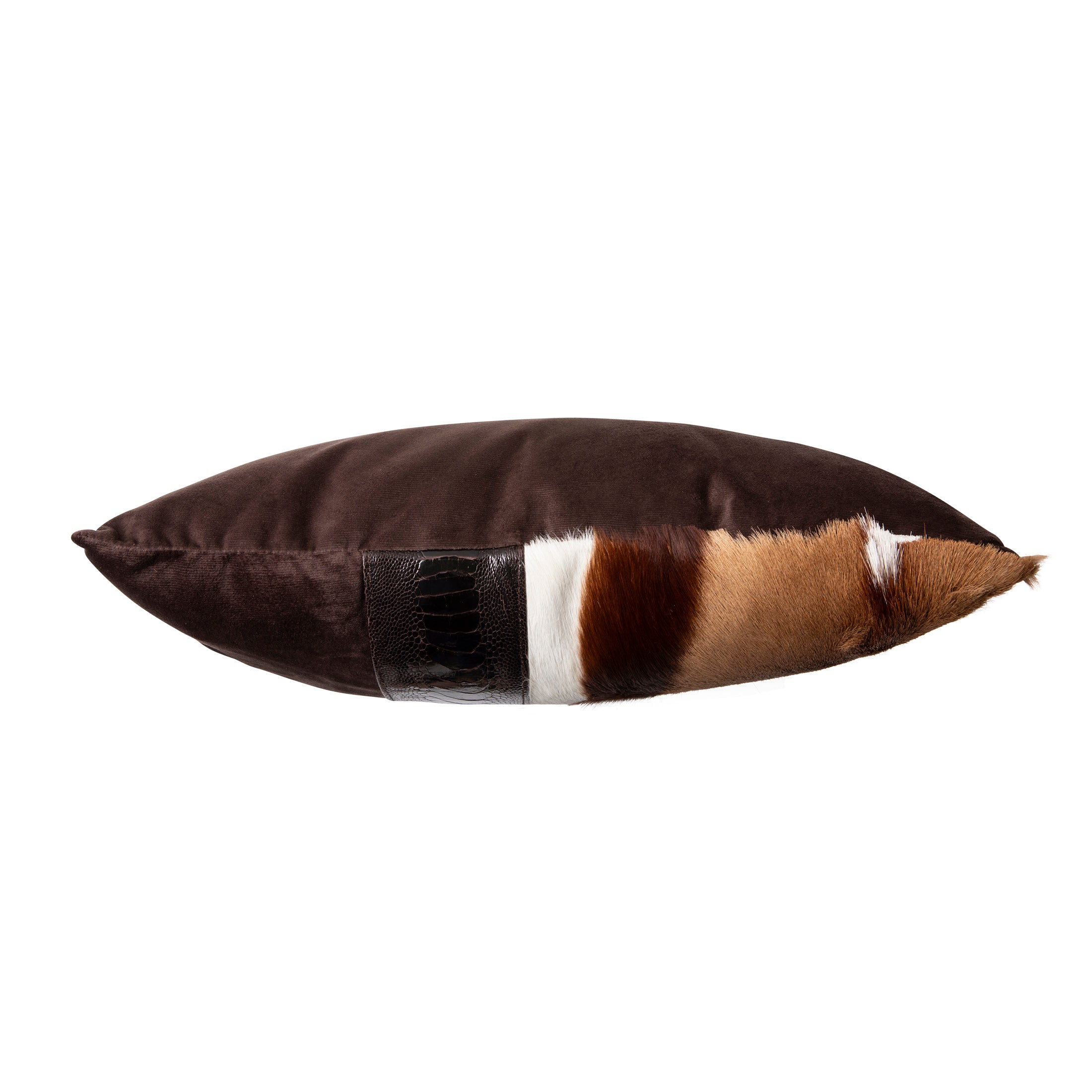 Springbok Hide & Ostrich Shin Pillow