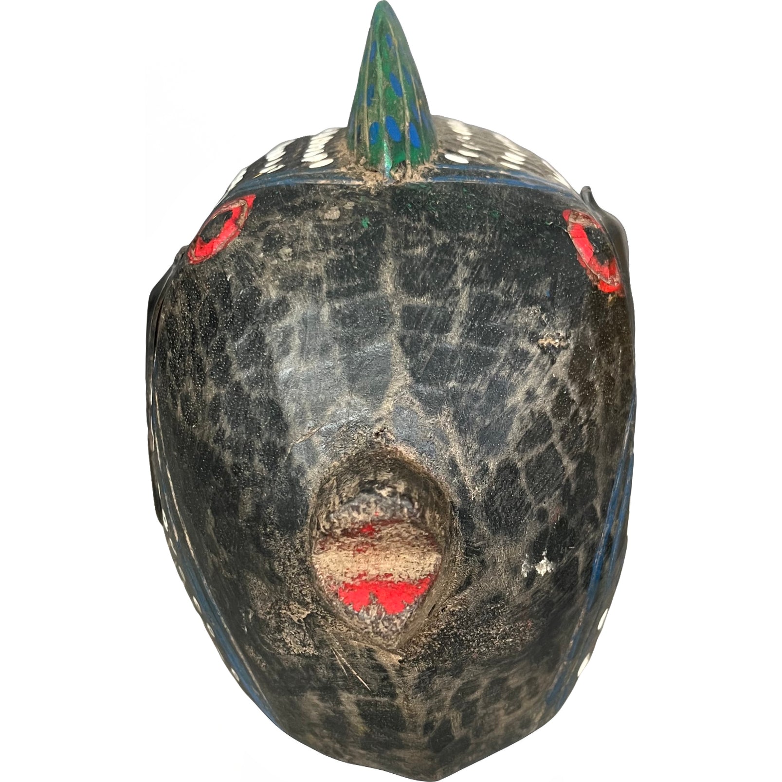 Bozo Fish on Stand - Blue