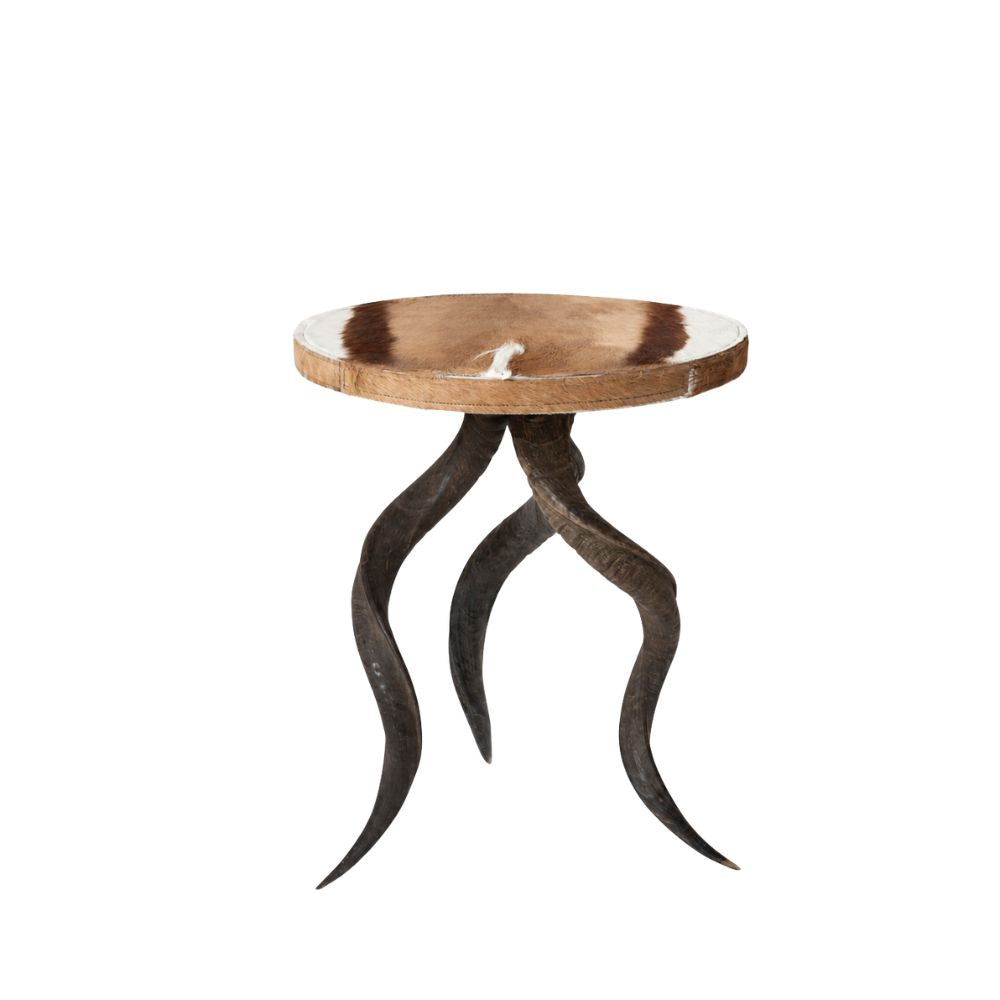 Natural Kudu Horn Table