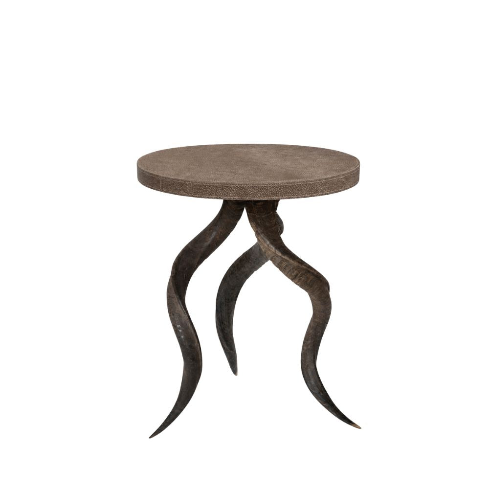Natural Kudu Horn Table