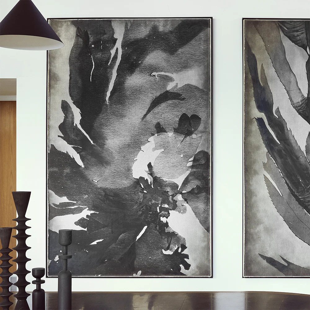 Nemastoma Framed Panel