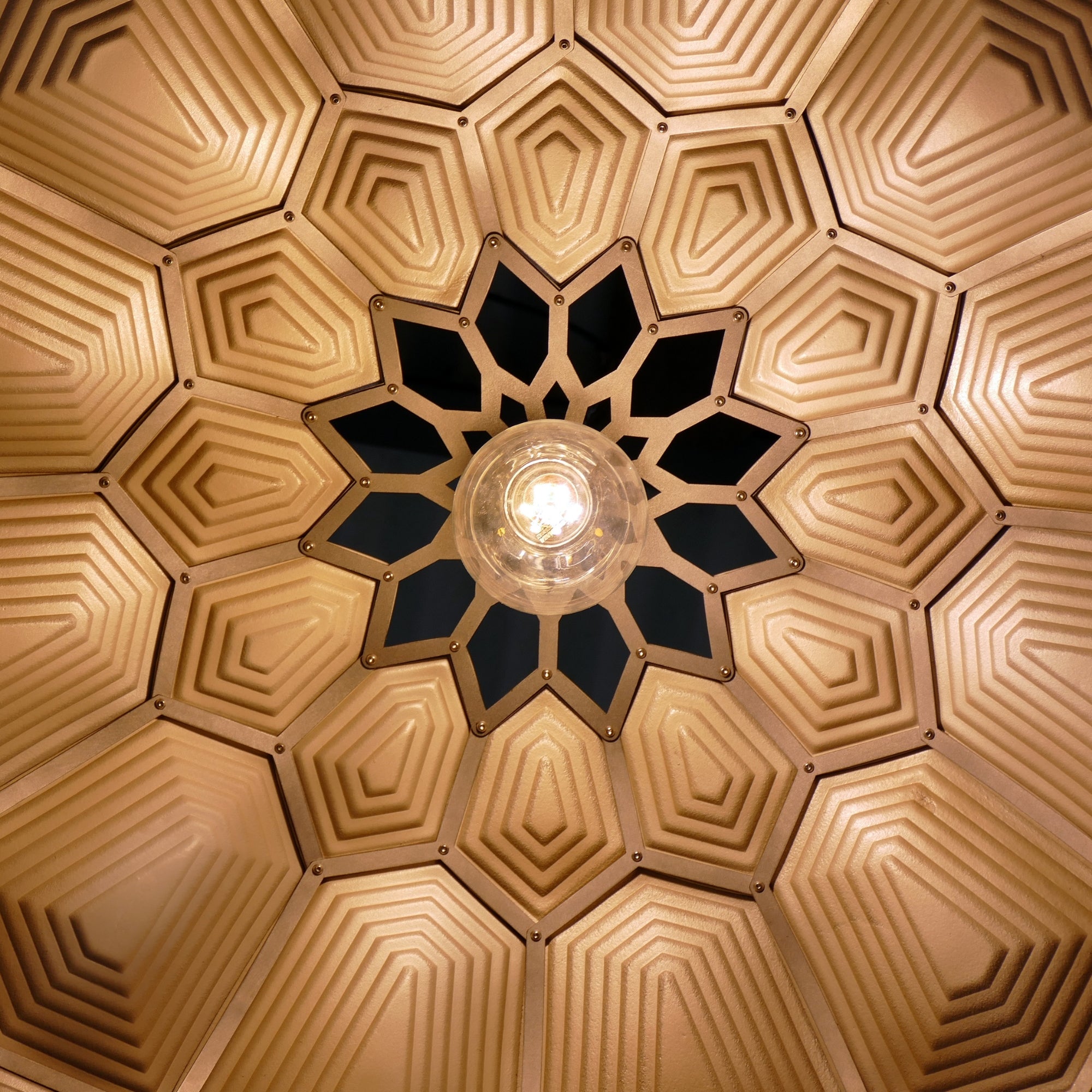 Turtle Dome Light - Embossed Black Leather