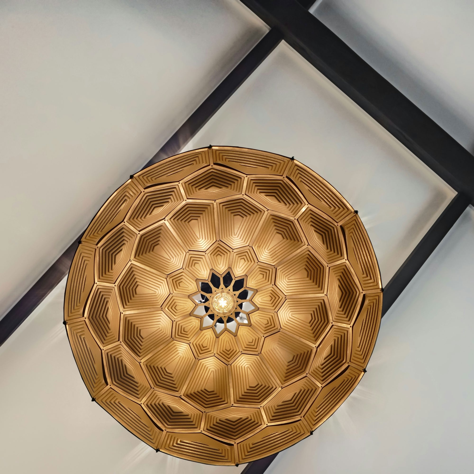 Turtle Dome Light - Embossed Black Leather