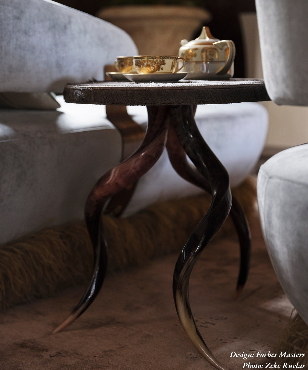 Polished Kudu Horn Table