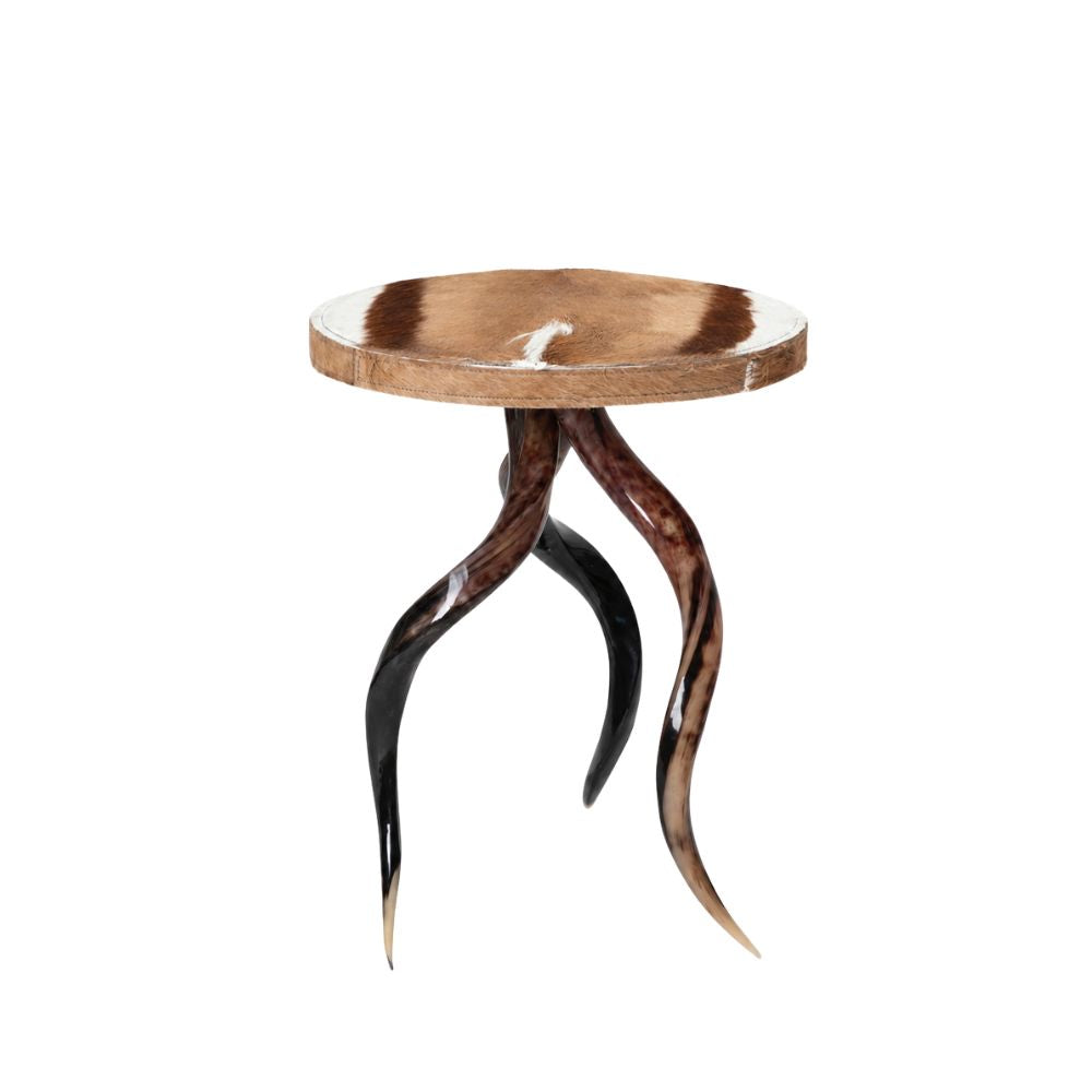 Polished Kudu Horn Table