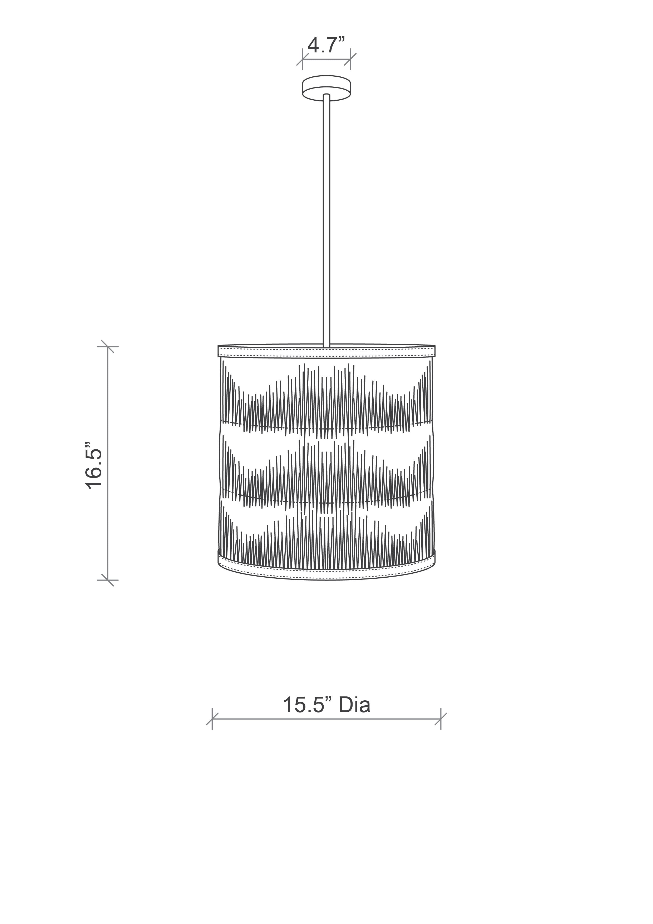Porcupine Quill Pendant w/ Leather Trim