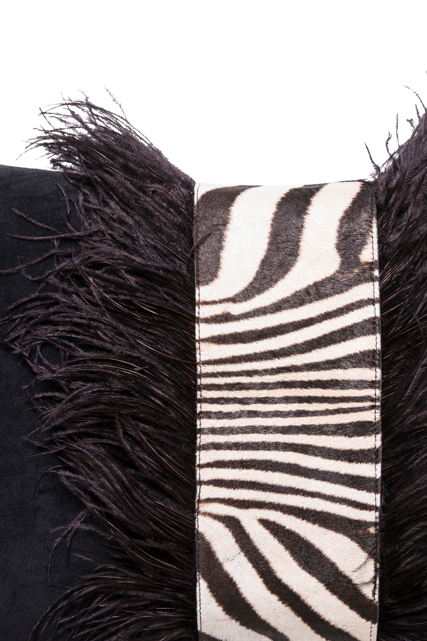 Zebra Hide with Ostrich Feather Trim